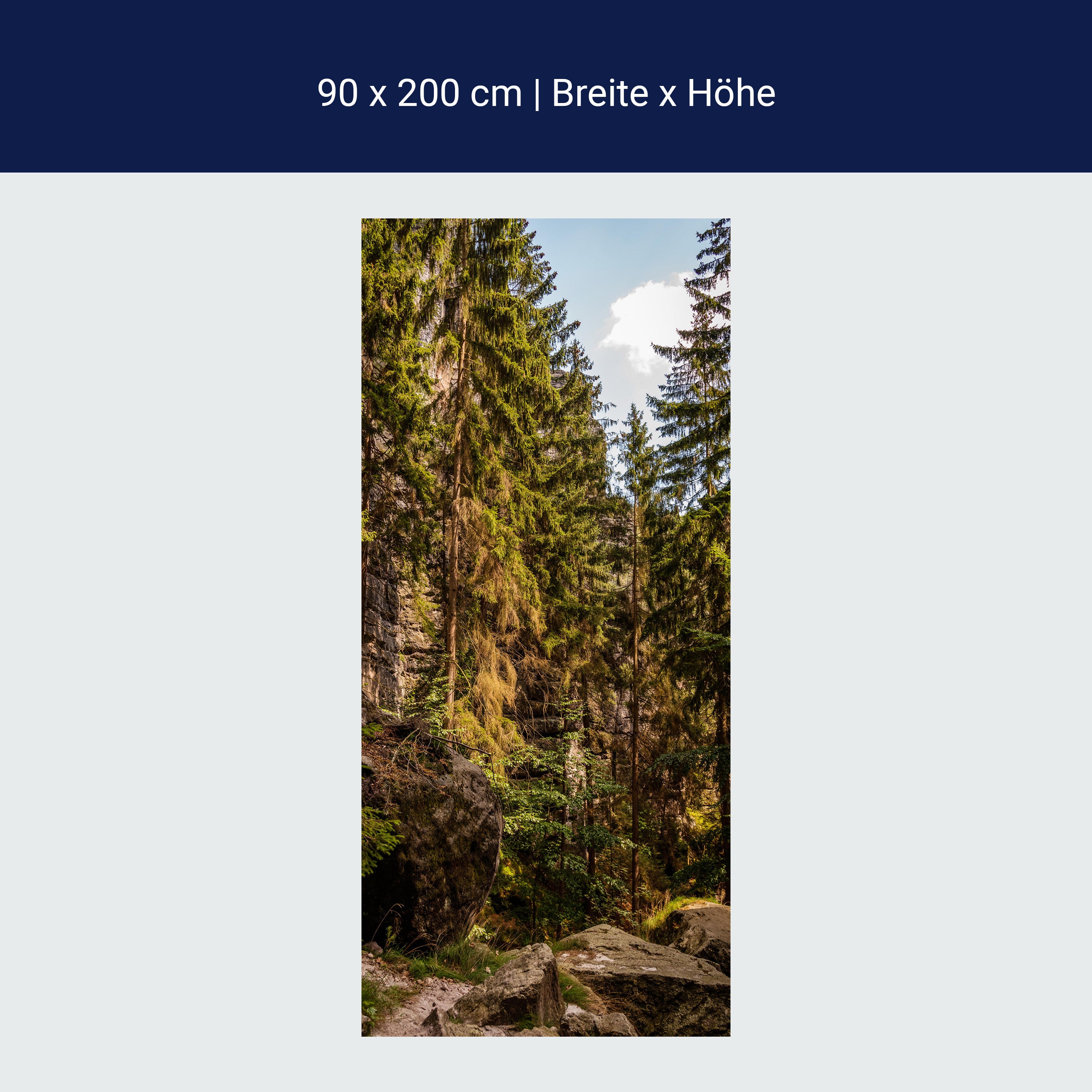 Türtapete Nadelwald & Felsen, Bäume, Wald, Natur M1392 Türtapete Nadelwald & Felsen, Bäume, Wald, Natur M1392