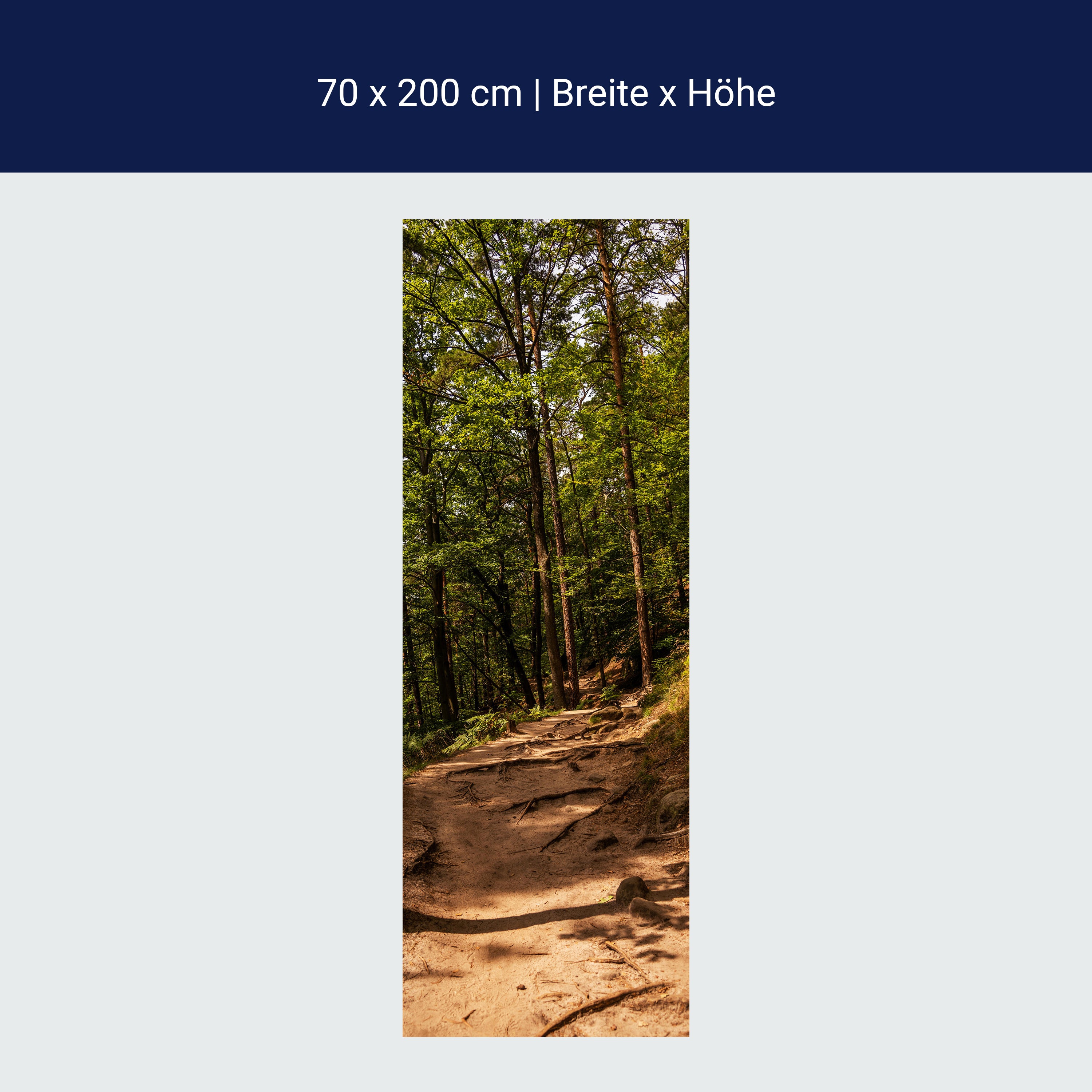 Türtapete Wanderweg im Wald, Wurzeln, Bäume, Natur M1394 Türtapete Wanderweg im Wald, Wurzeln, Bäume, Natur M1394