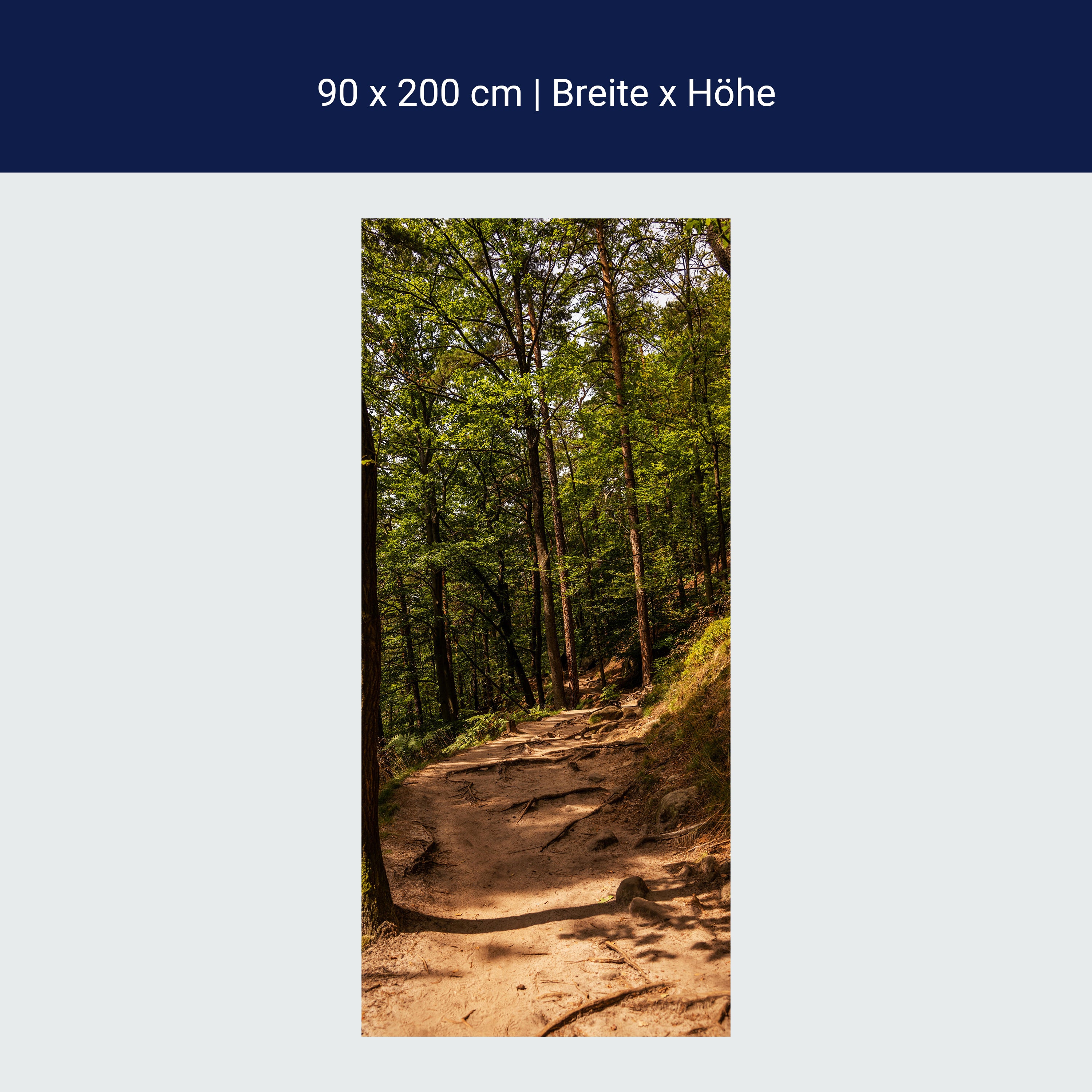 Türtapete Wanderweg im Wald, Wurzeln, Bäume, Natur M1394 Türtapete Wanderweg im Wald, Wurzeln, Bäume, Natur M1394