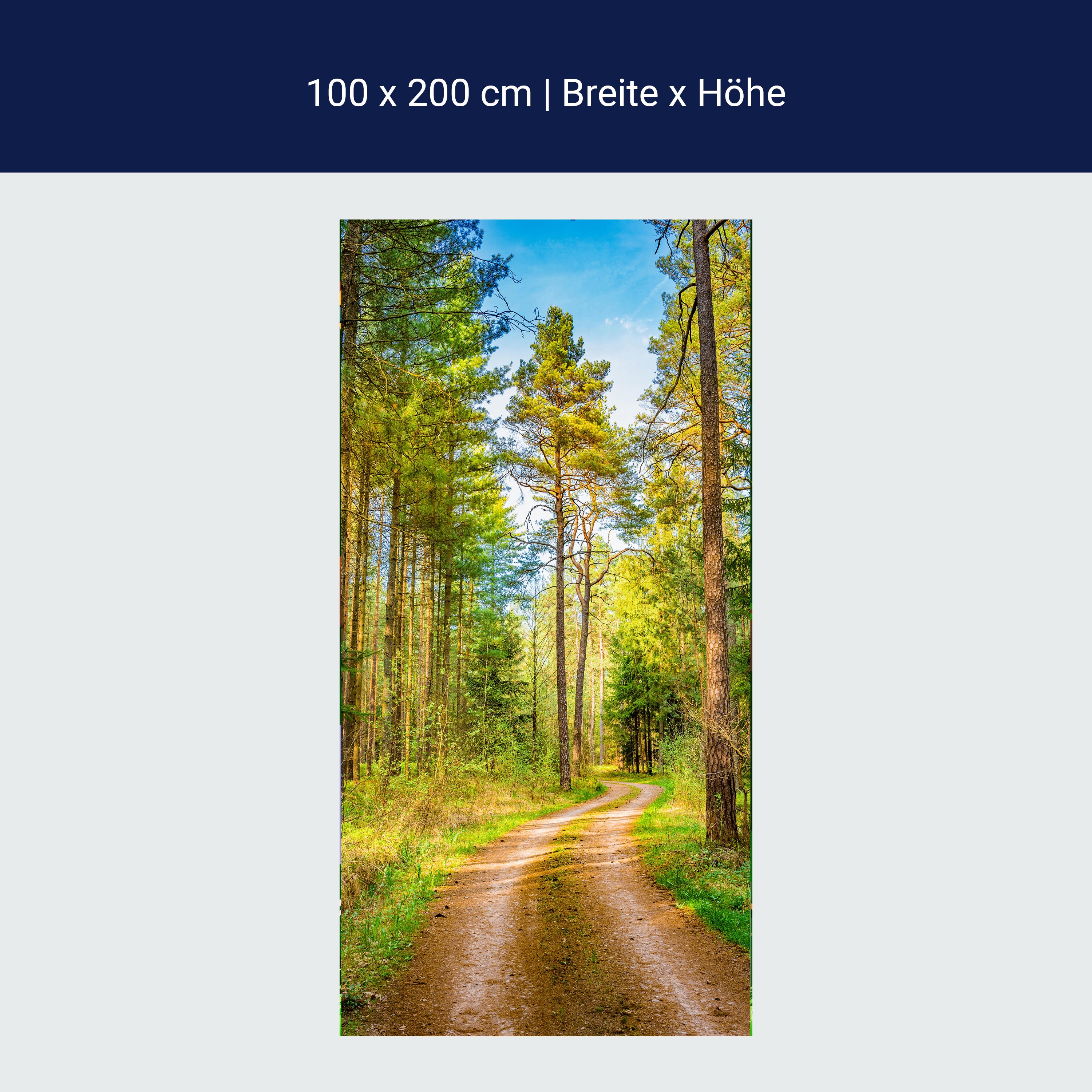 Türtapete Wald, Weg, Bäume M1426 Türtapete Wald, Weg, Bäume M1426