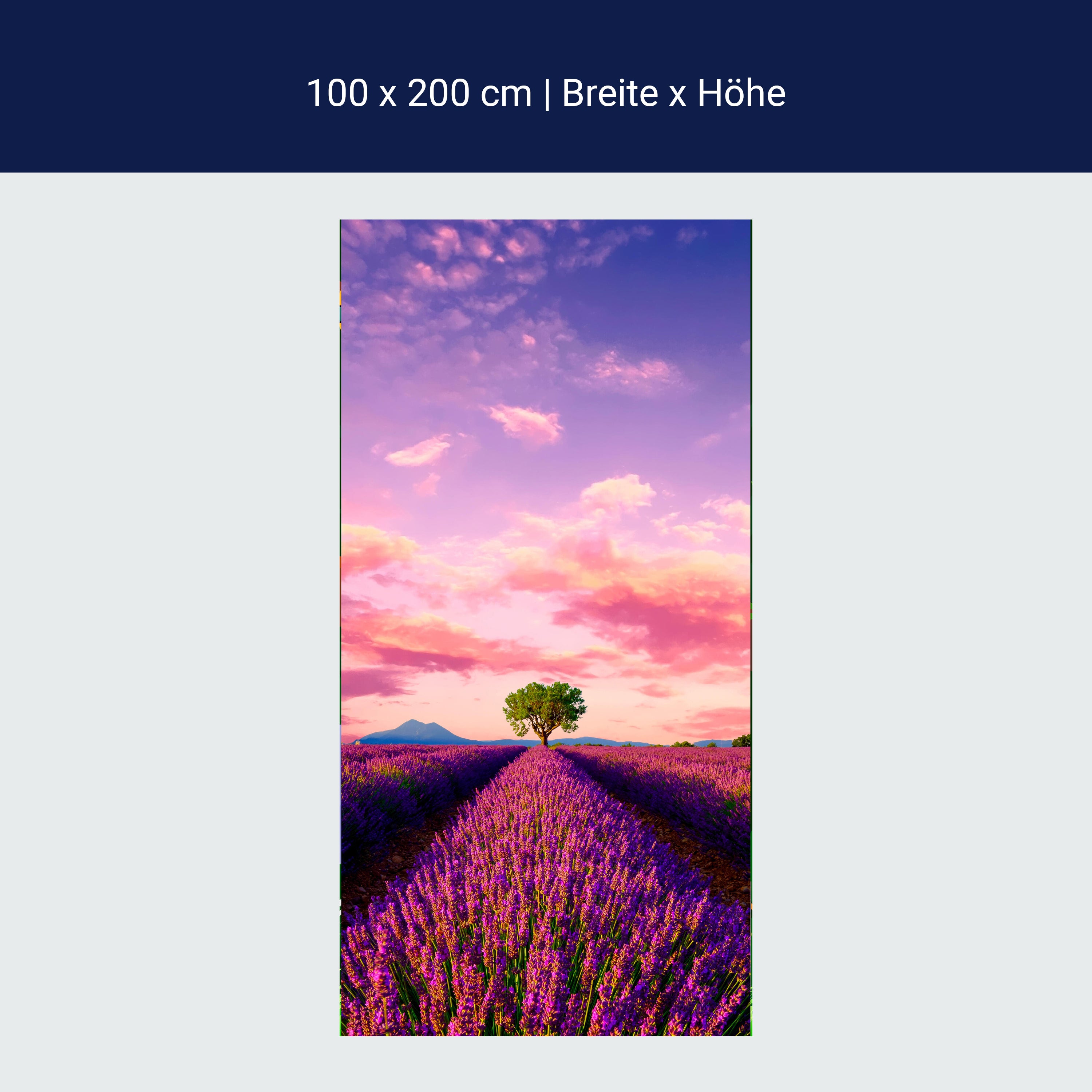 Türtapete Lavendel, Feld, Baum, Landschaft M1430 Türtapete Lavendel, Feld, Baum, Landschaft M1430