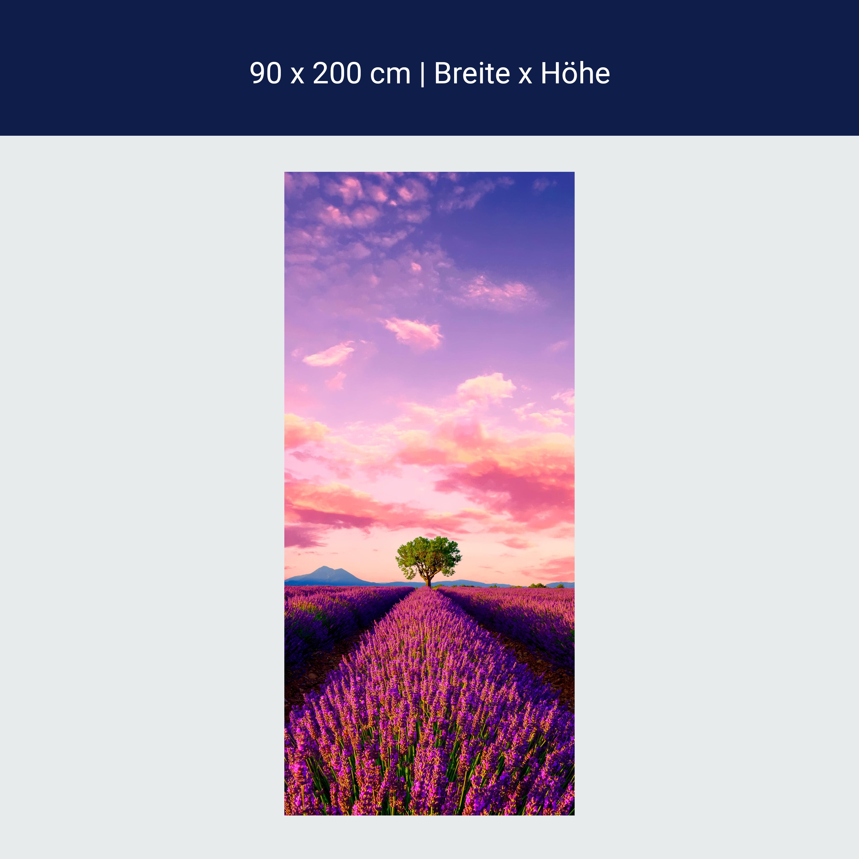 Türtapete Lavendel, Feld, Baum, Landschaft M1430 Türtapete Lavendel, Feld, Baum, Landschaft M1430