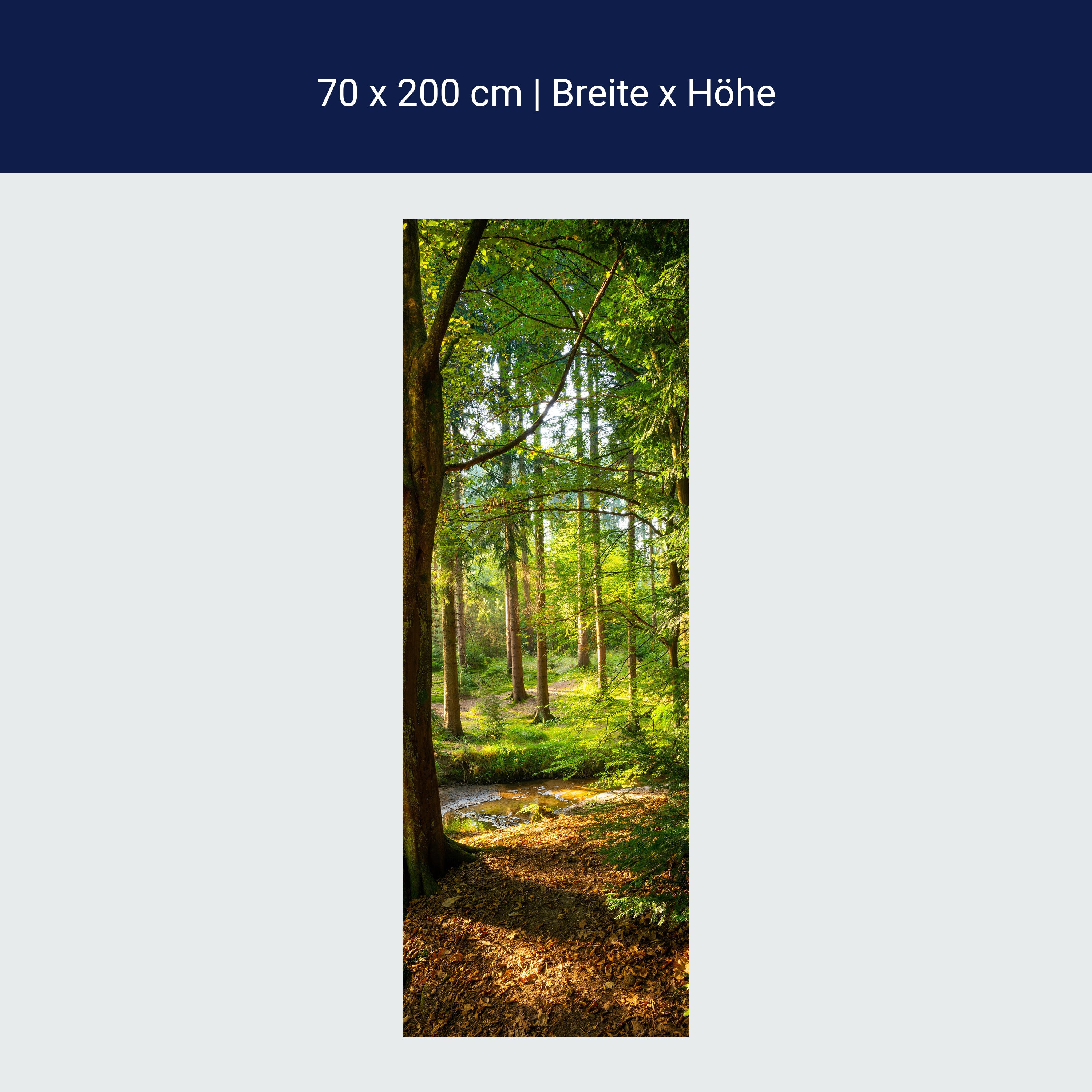 Türtapete Wald, Lichtung, Bäume, Fluss M1436 Türtapete Wald, Lichtung, Bäume, Fluss M1436