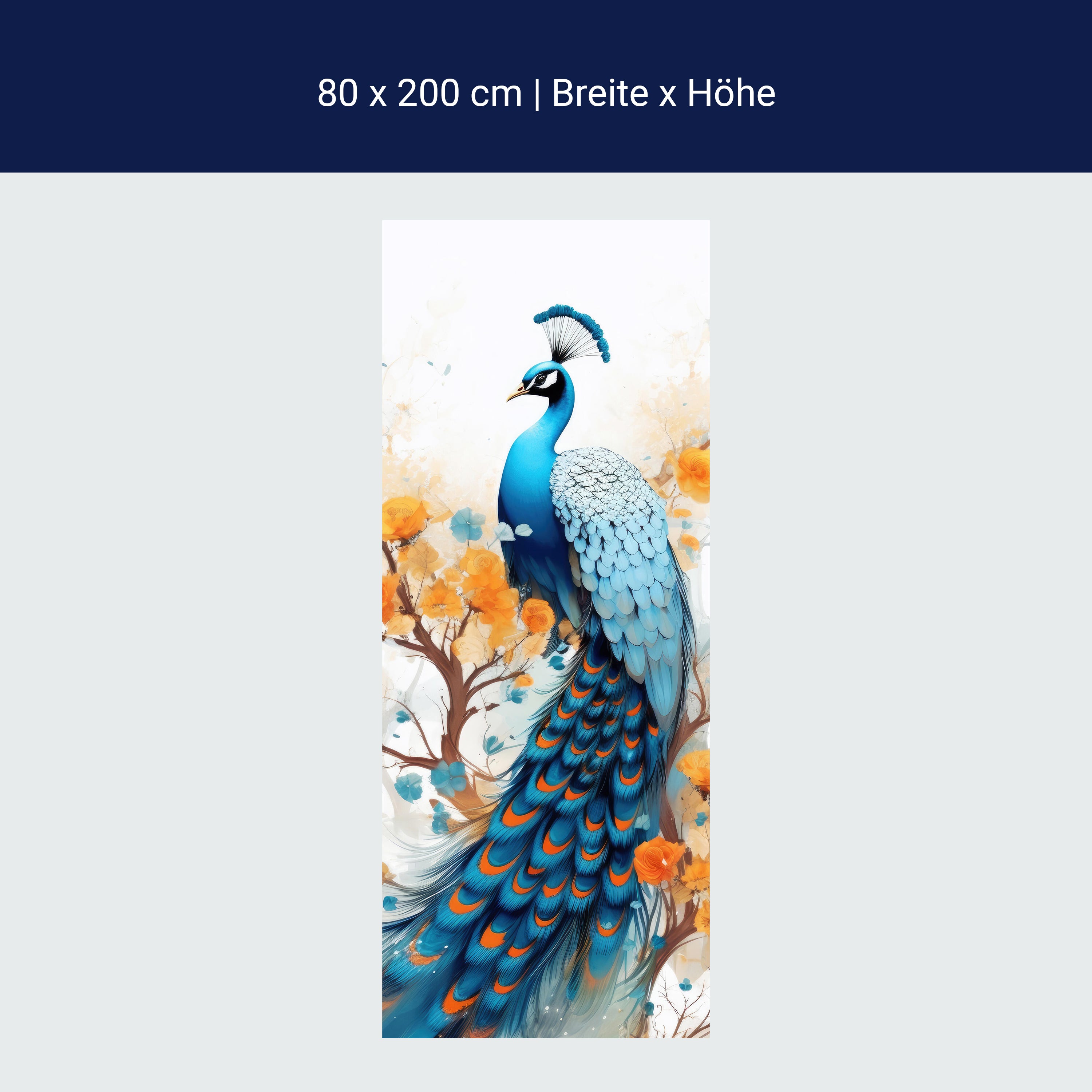 Türtapete Pfau, Illustration, Federn M1455 Türtapete Pfau, Illustration, Federn M1455