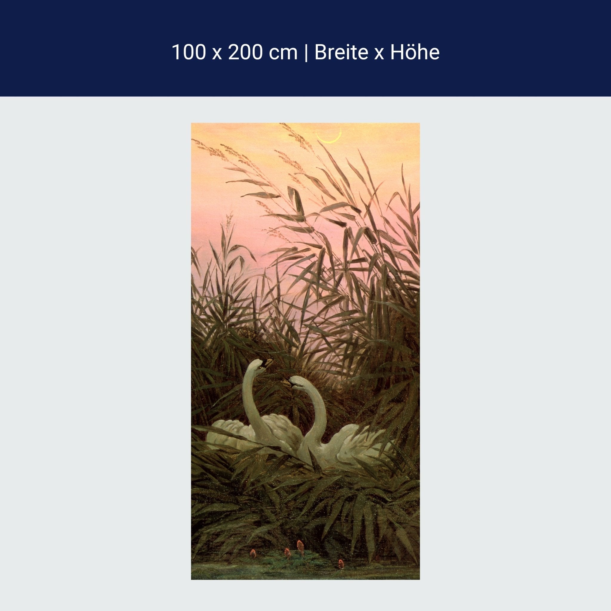 Türtapete Schwäne im Schilf Caspar David Friedrich M1546 Türtapete Schwäne im Schilf Caspar David Friedrich M1546