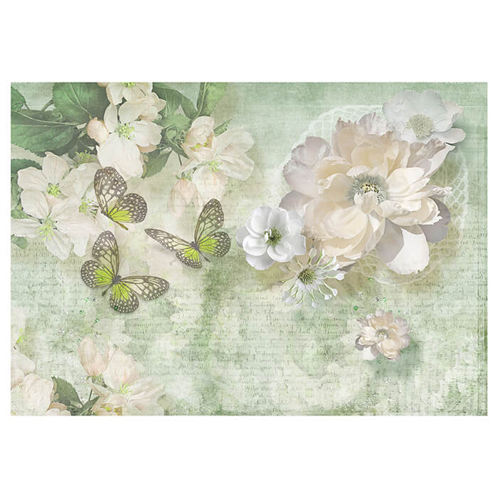 Fototapete Blumen Schmetterlinge hell grün M1754 - Bild 2 Fototapete Blumen Schmetterlinge hell grün M1754 - Bild 2