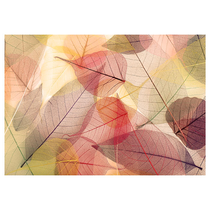 Fototapete rot Blätter M2088 - Bild 2 Fototapete rot Blätter M2088 - Bild 2