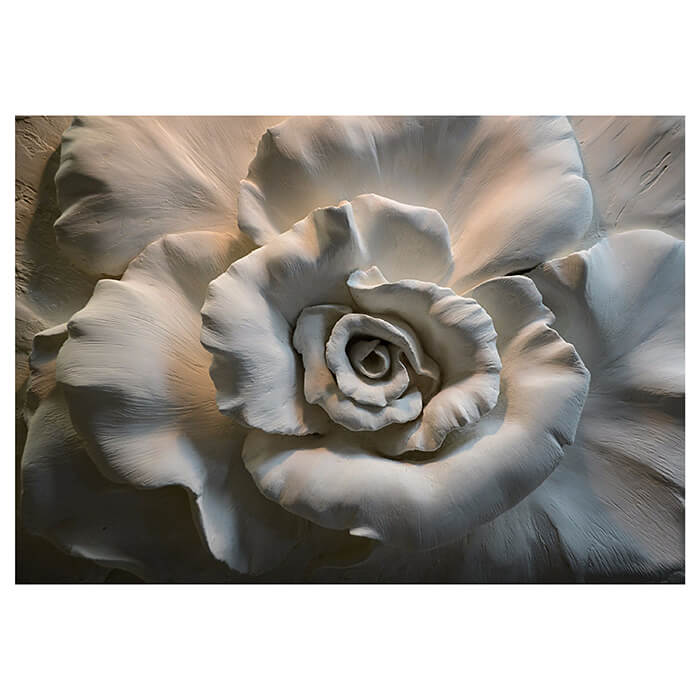 Fototapete Blume Skulptur Gips Wand M4632 - Bild 2 Fototapete Blume Skulptur Gips Wand M4632 - Bild 2