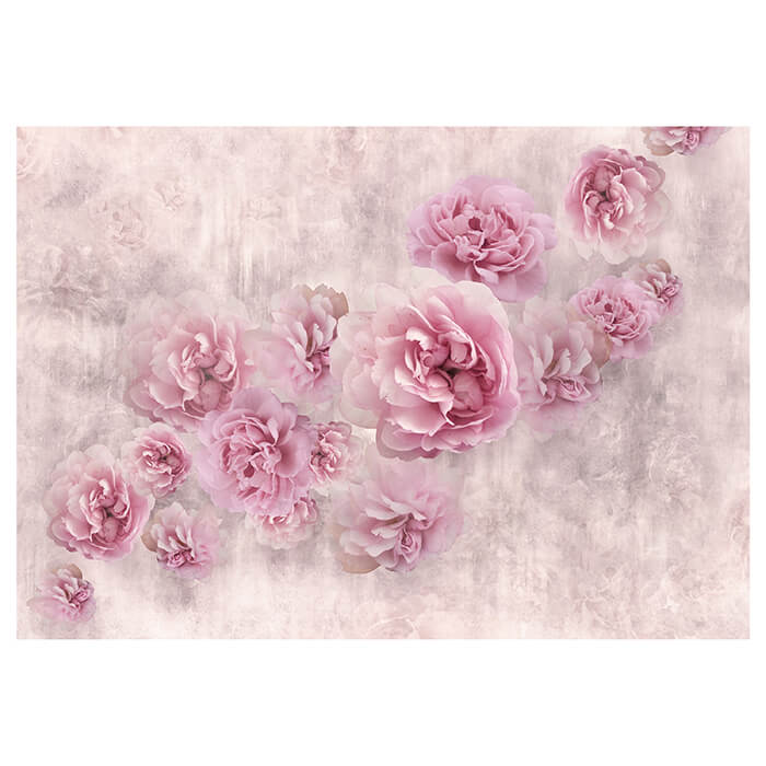 Fototapete rosa Rosen Betonwand alt M4678 - Bild 2 Fototapete rosa Rosen Betonwand alt M4678 - Bild 2