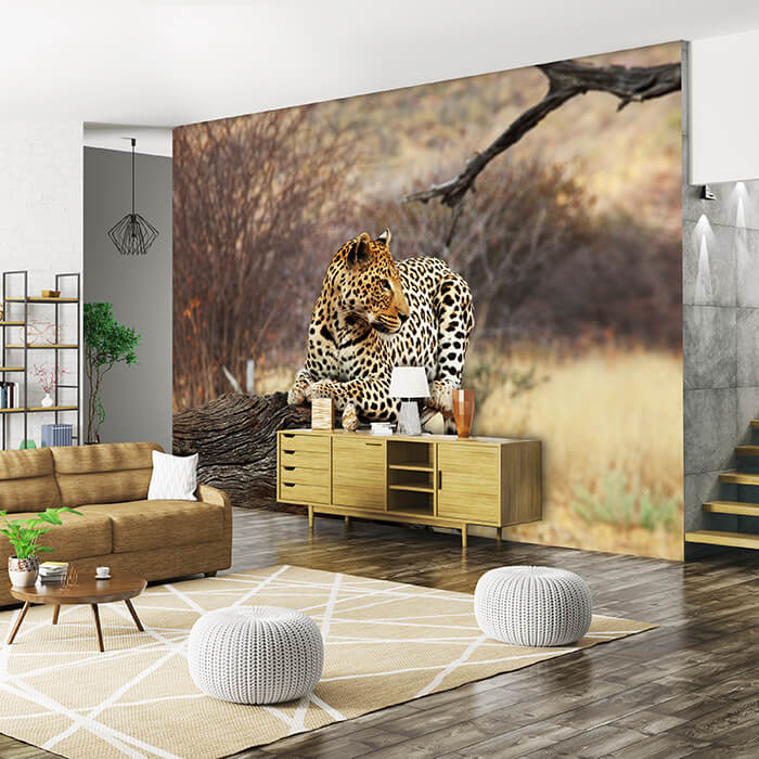 Fototapete Leopard Ast Savanne M4813 - Bild 1 Fototapete Leopard Ast Savanne M4813 - Bild 1