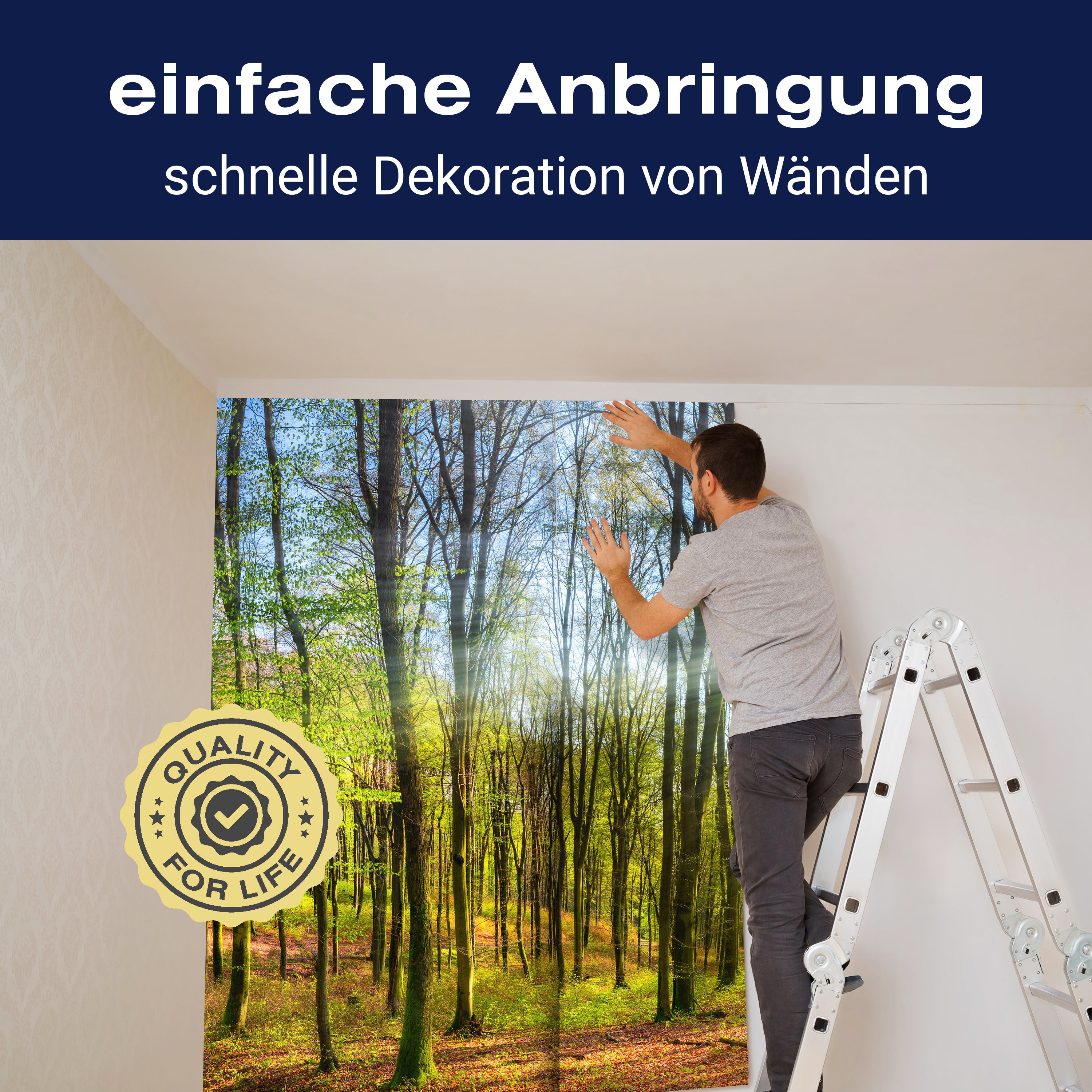 Fototapete Sonne Natur Bäume M5669 - Bild 3 Fototapete Sonne Natur Bäume M5669 - Bild 3