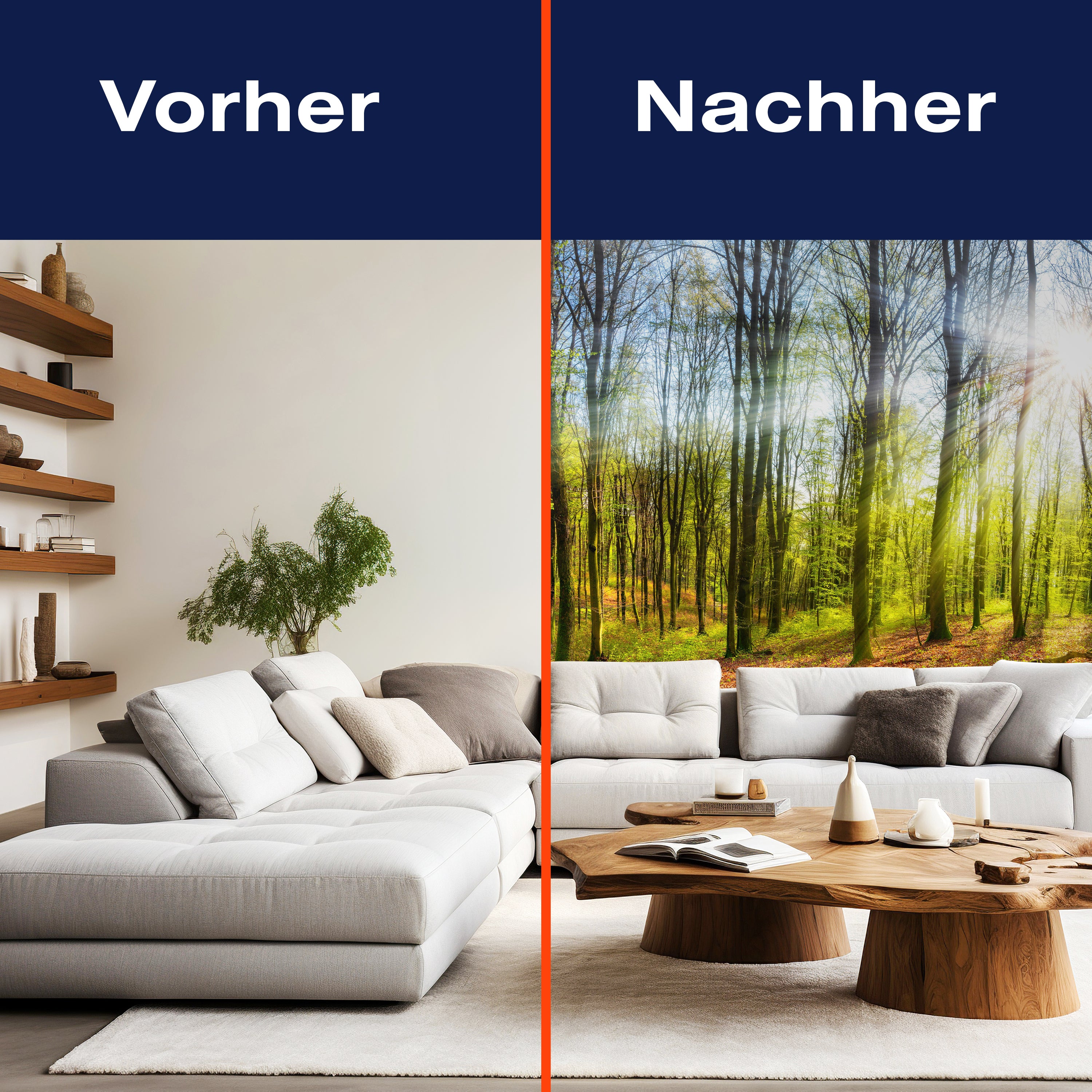 Fototapete Sonne Natur Bäume M5669 - Bild 9 Fototapete Sonne Natur Bäume M5669 - Bild 9