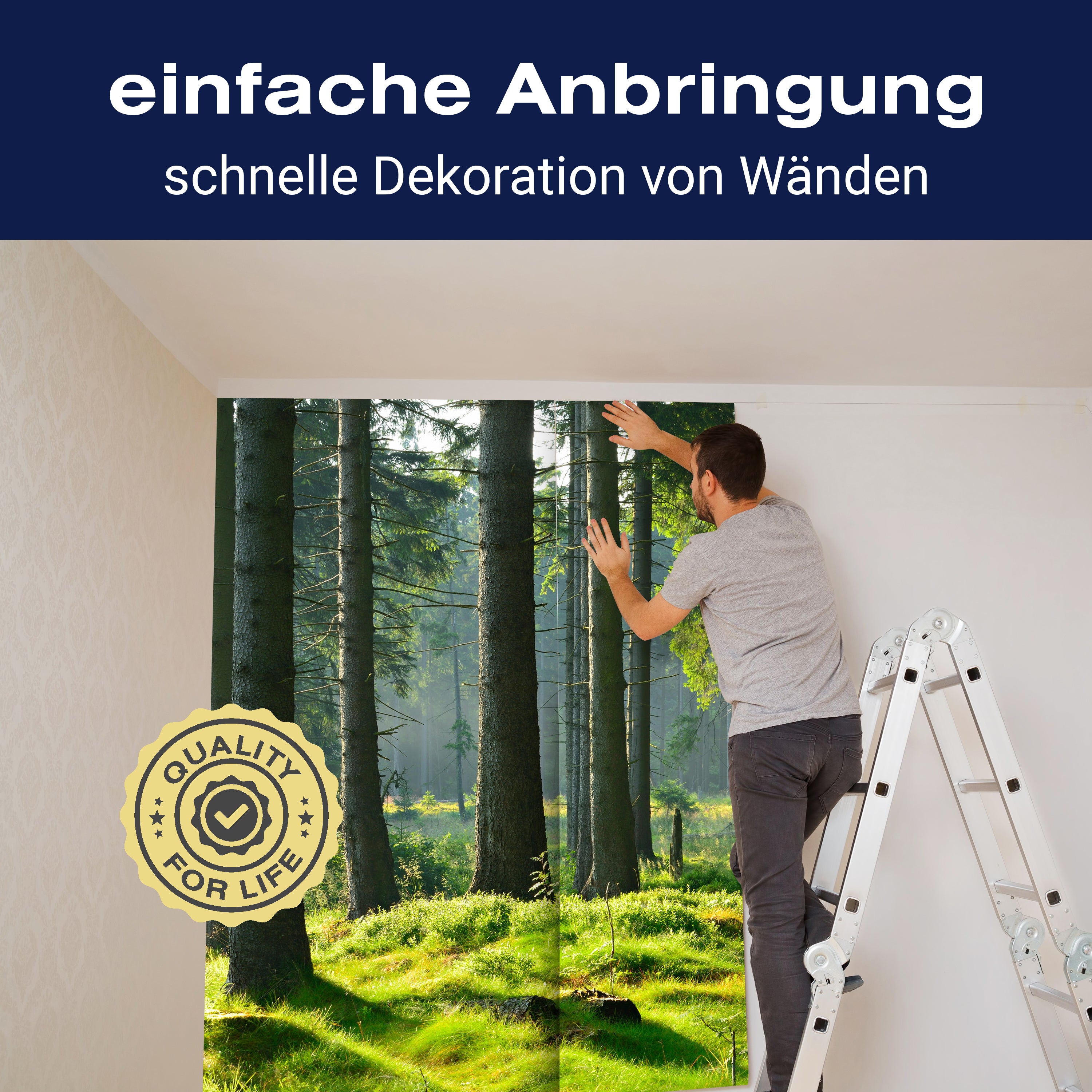 Fototapete Wald Stämme Wiese M5674 - Bild 3 Fototapete Wald Stämme Wiese M5674 - Bild 3