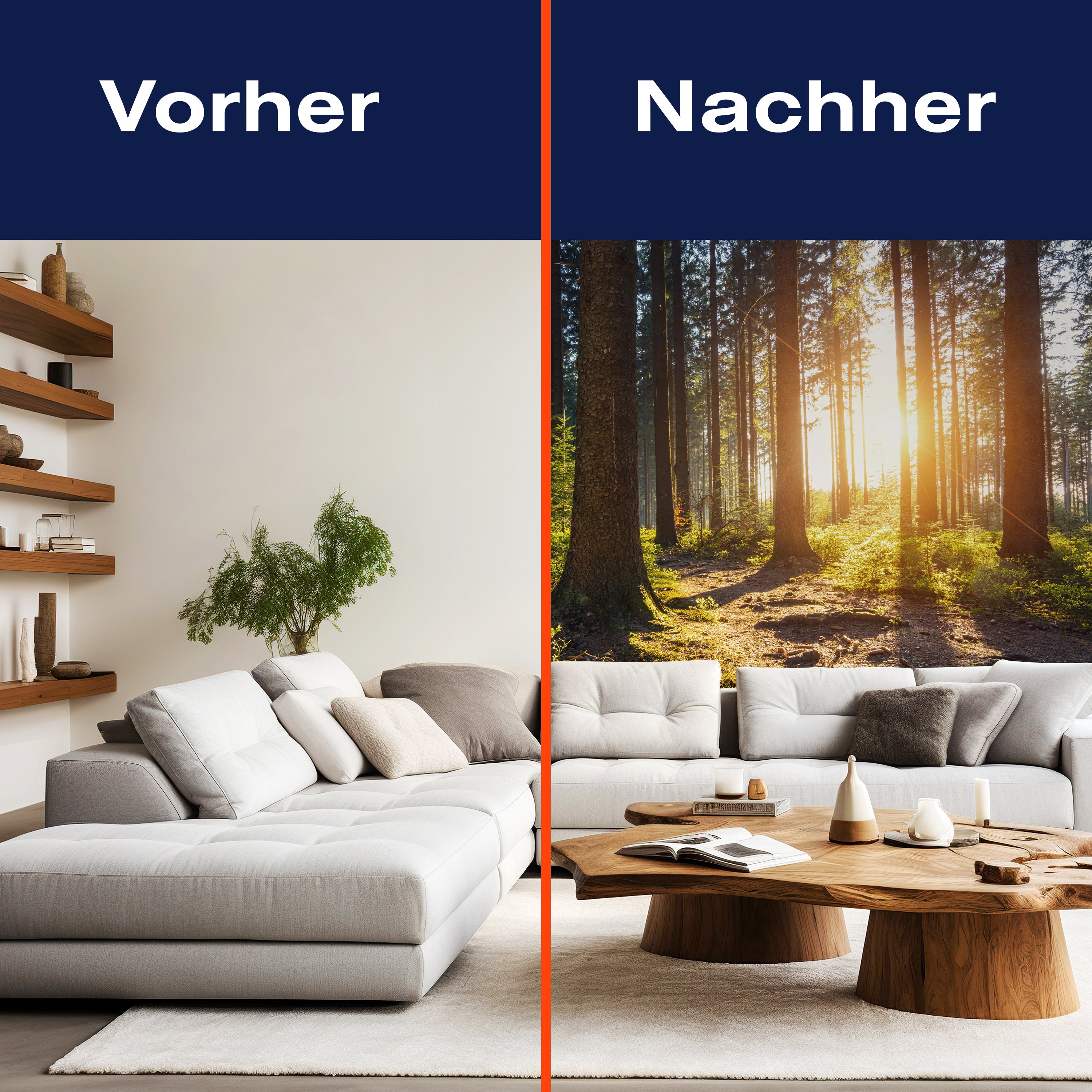 Fototapete Sonnenuntergang Wald Bäume M5675 - Bild 9 Fototapete Sonnenuntergang Wald Bäume M5675 - Bild 9