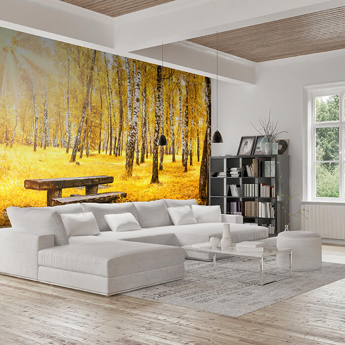 Fototapete Herbst Birke Bank M5676 - Bild 1 Fototapete Herbst Birke Bank M5676 - Bild 1