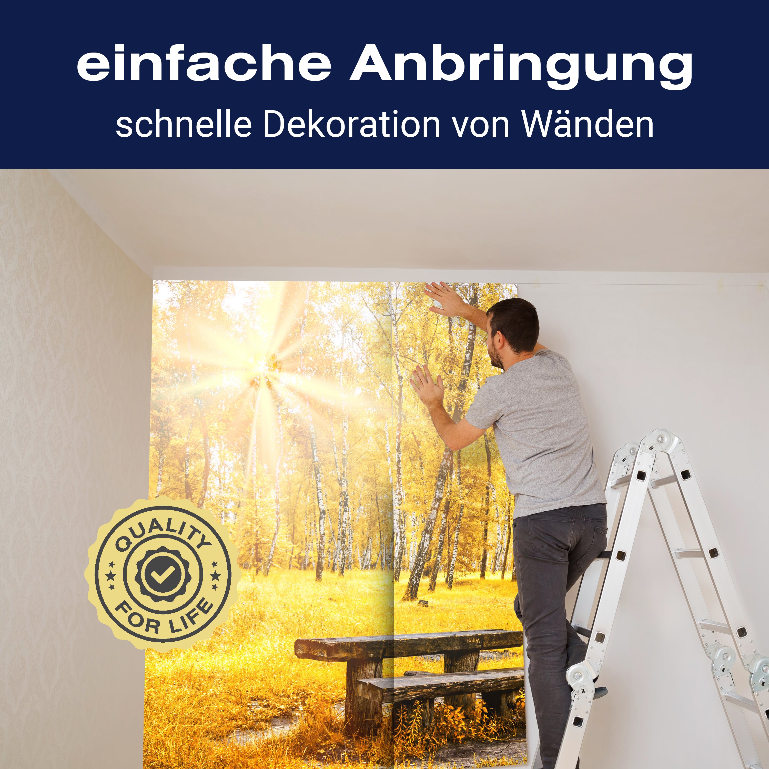 Fototapete Herbst Birke Bank M5676 - Bild 3 Fototapete Herbst Birke Bank M5676 - Bild 3