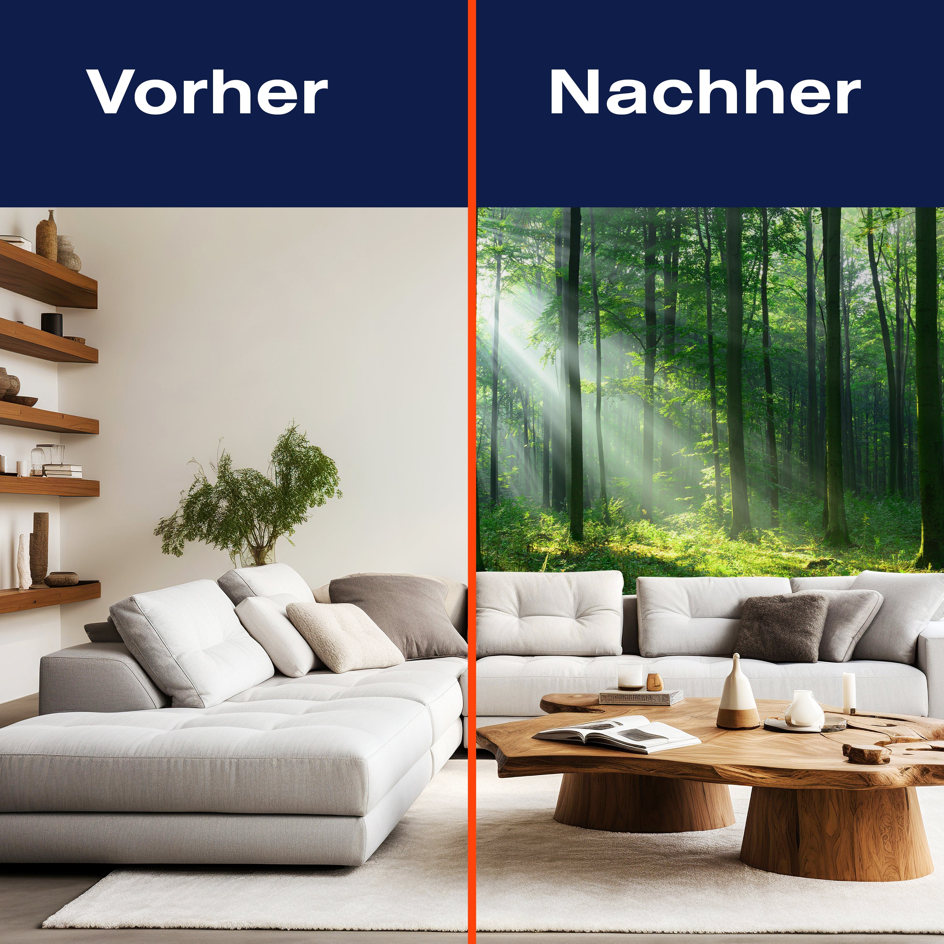 Fototapete Wald Sonnenstrahlen Nebel M5677 - Bild 9 Fototapete Wald Sonnenstrahlen Nebel M5677 - Bild 9