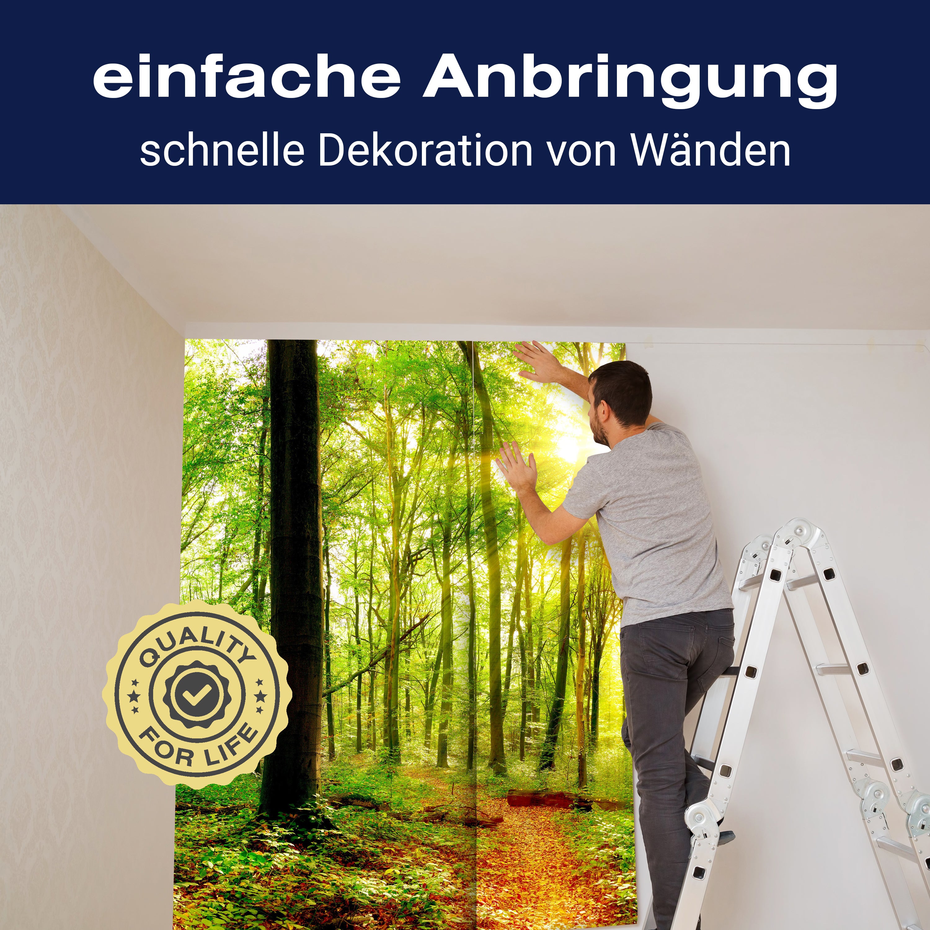 Fototapete Sonne Sonnenstrahlen Weg Wald M5678 - Bild 3 Fototapete Sonne Sonnenstrahlen Weg Wald M5678 - Bild 3