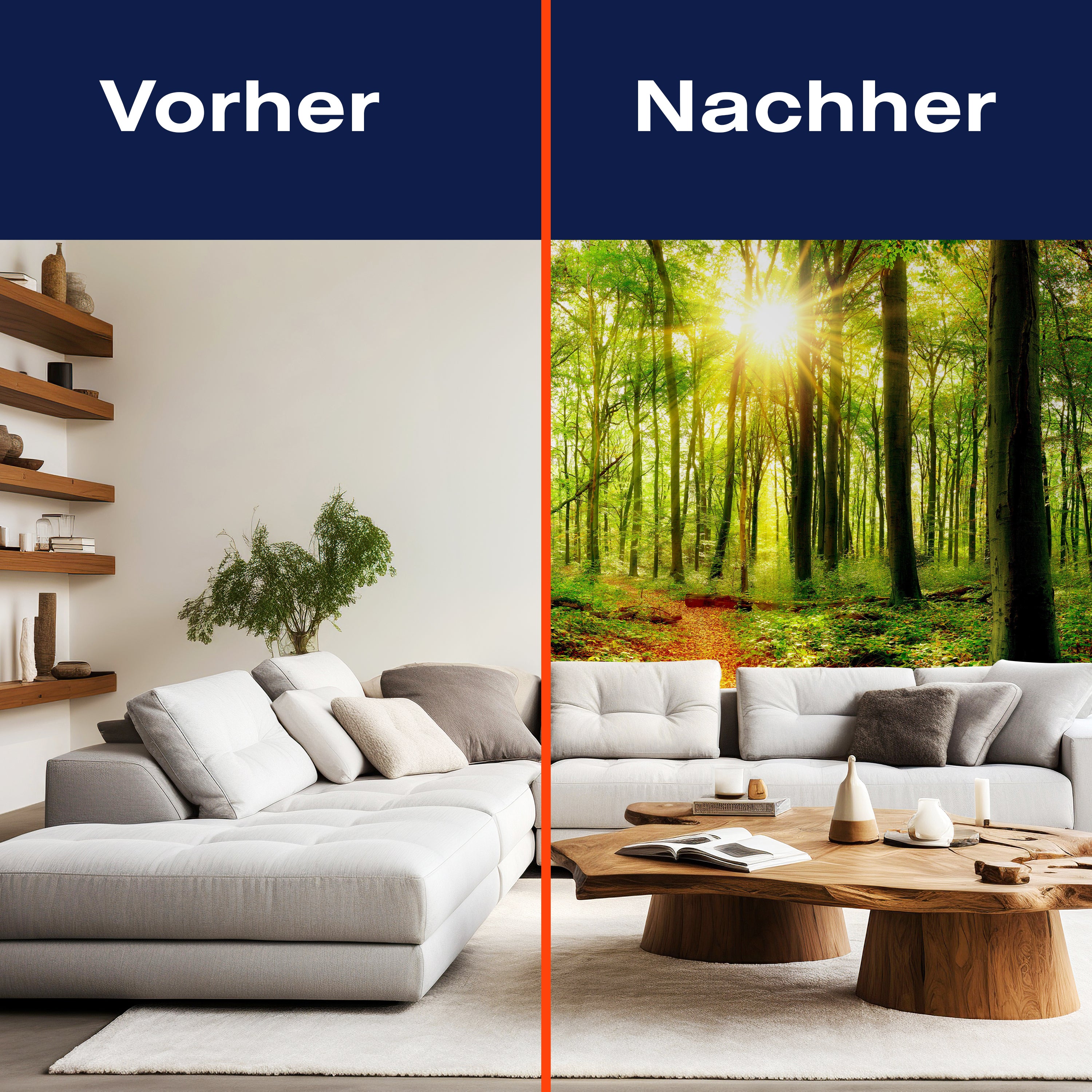 Fototapete Sonne Sonnenstrahlen Weg Wald M5678 - Bild 9 Fototapete Sonne Sonnenstrahlen Weg Wald M5678 - Bild 9