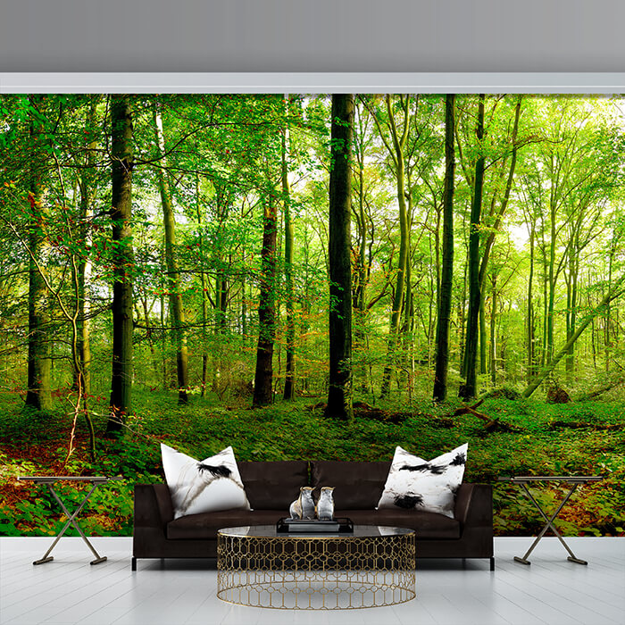 Fototapete Wald Blätter Natur M5679 - Bild 1 Fototapete Wald Blätter Natur M5679 - Bild 1