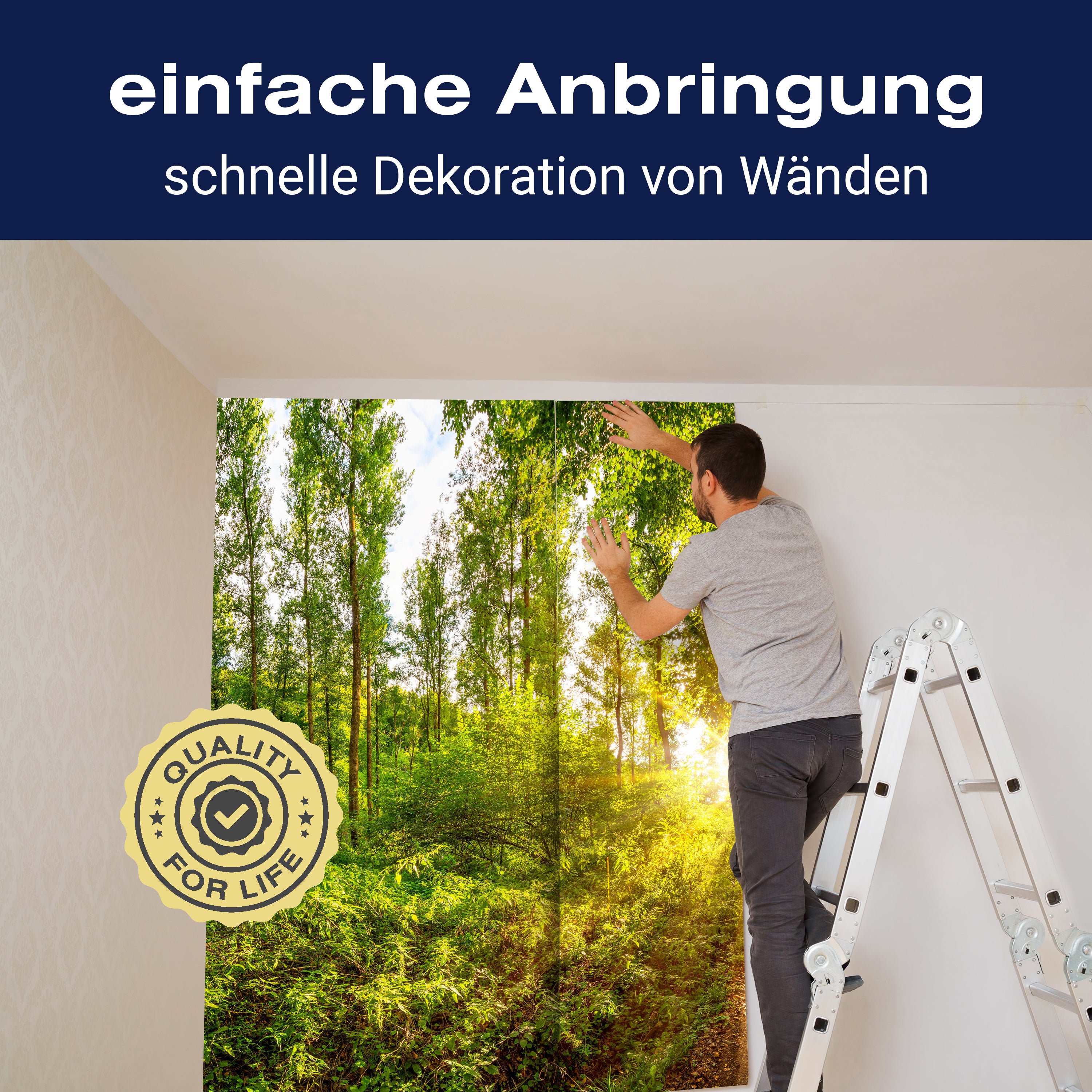 Fototapete Sonne Wald Bäume Weg M5682 - Bild 3 Fototapete Sonne Wald Bäume Weg M5682 - Bild 3