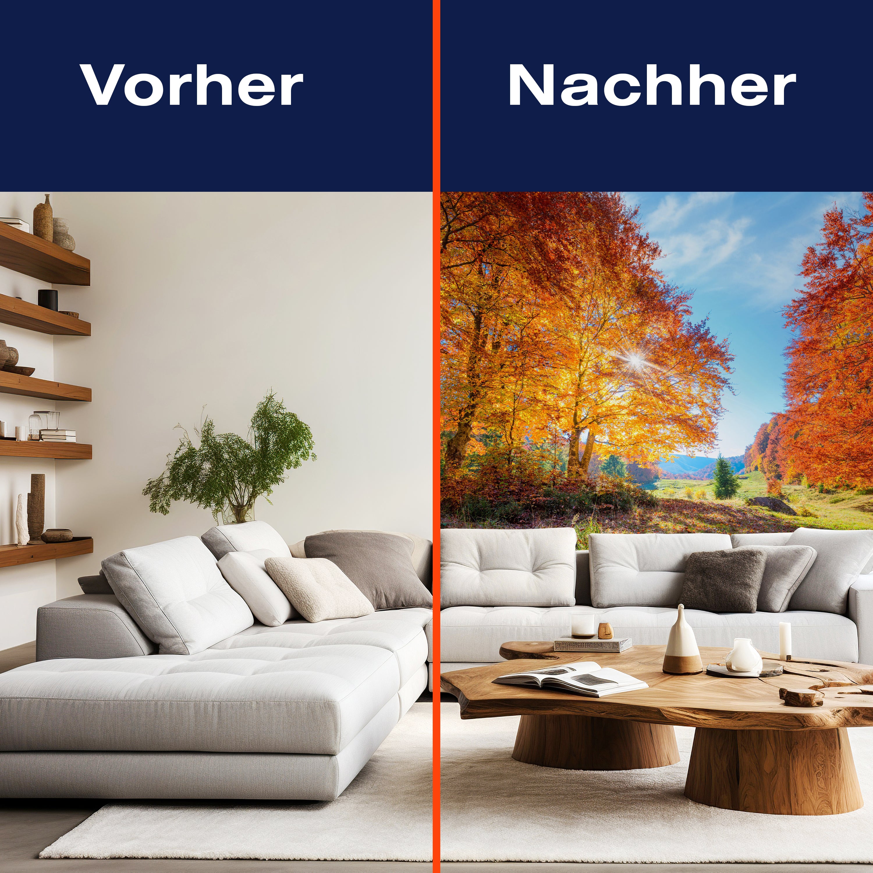 Fototapete Herbst Lichtung Bäume M5686 - Bild 9 Fototapete Herbst Lichtung Bäume M5686 - Bild 9