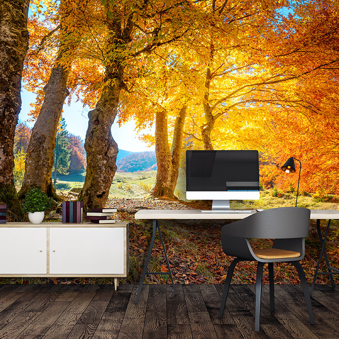 Fototapete Herbst Blätter Bäume M5687 - Bild 1 Fototapete Herbst Blätter Bäume M5687 - Bild 1