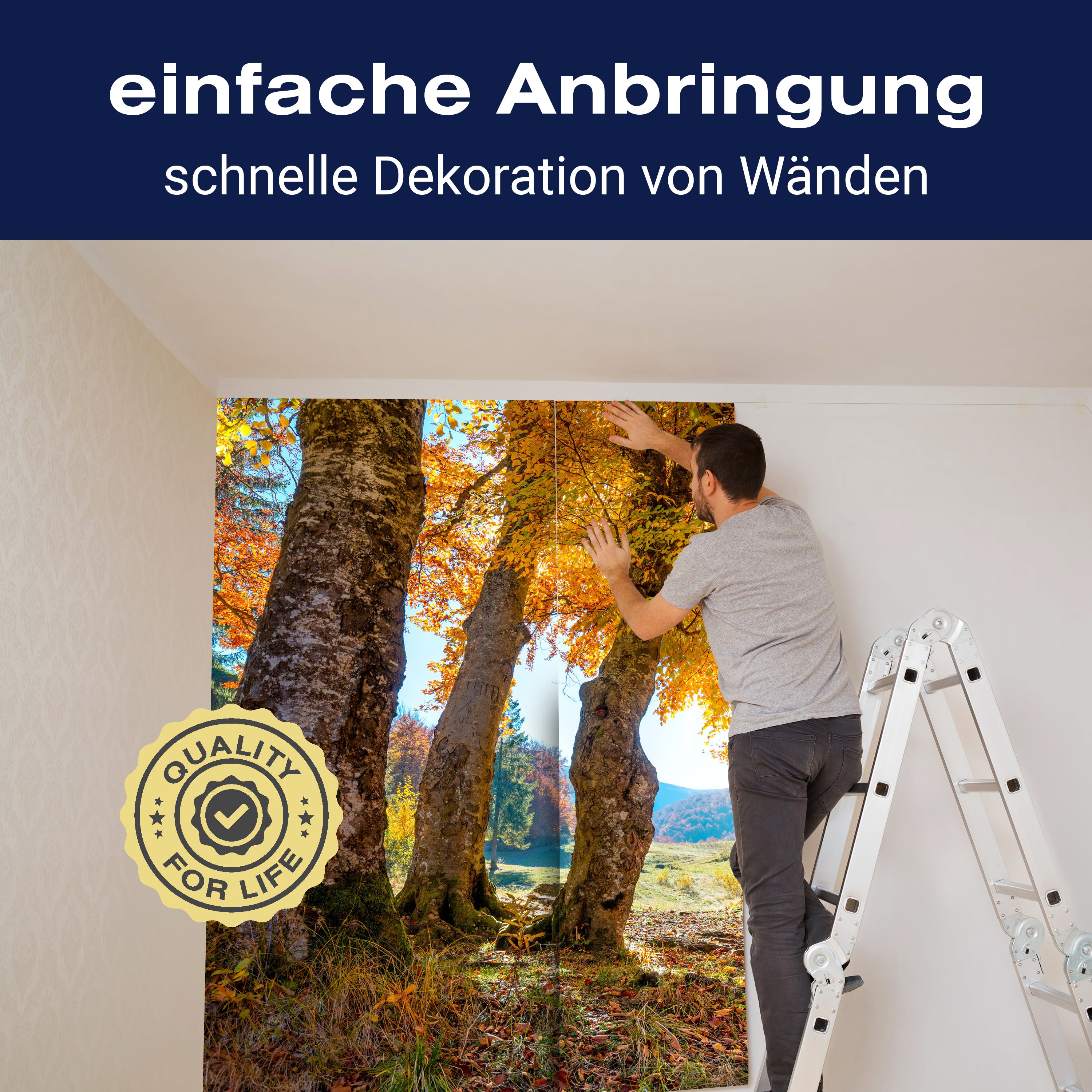 Fototapete Herbst Blätter Bäume M5687 - Bild 3 Fototapete Herbst Blätter Bäume M5687 - Bild 3