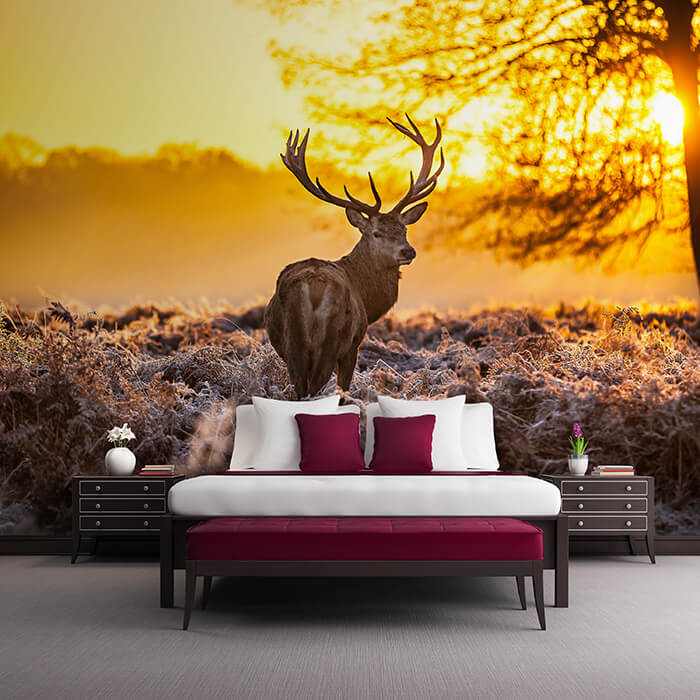Fototapete Wald mit Hirsch M5719 - Bild 1 Fototapete Wald mit Hirsch M5719 - Bild 1