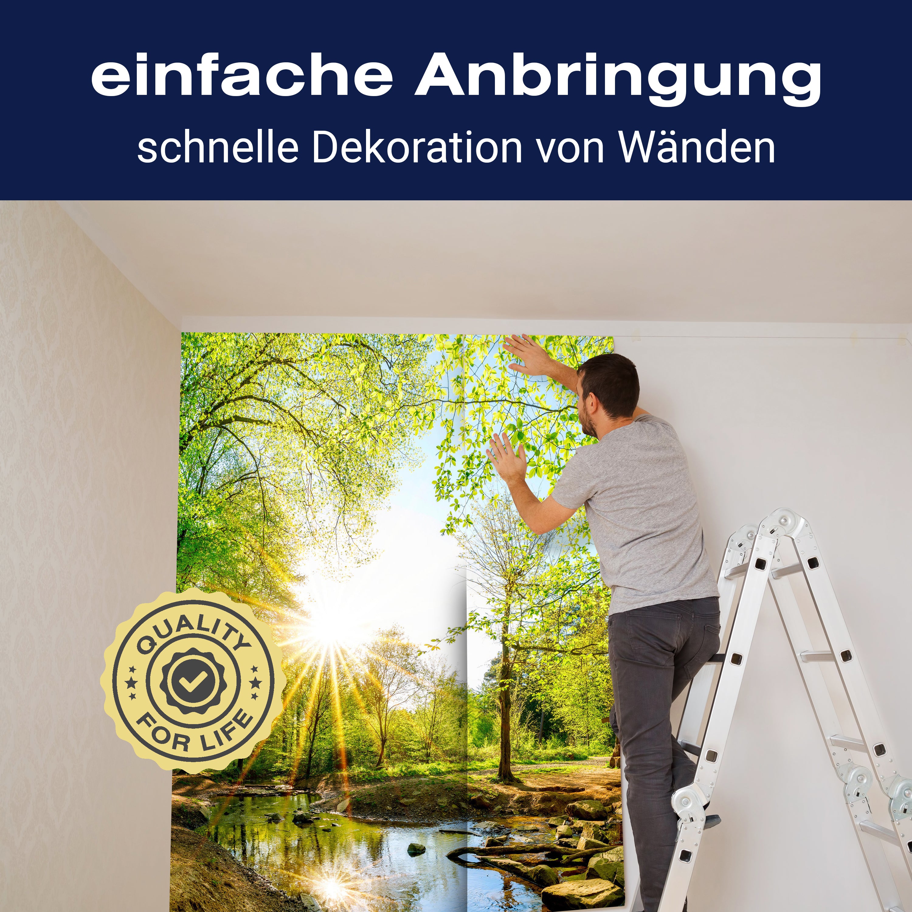Fototapete Wald im Sommer mit Bach und Sonne M5751 - Bild 3 Fototapete Wald im Sommer mit Bach und Sonne M5751 - Bild 3