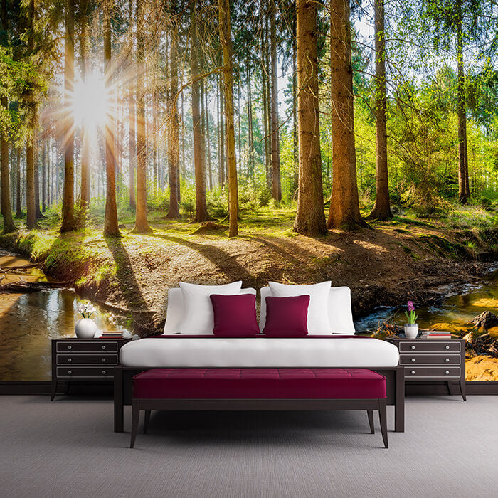 Fototapete Sonnenschein im Wald mit Bach M5752 - Bild 1 Fototapete Sonnenschein im Wald mit Bach M5752 - Bild 1