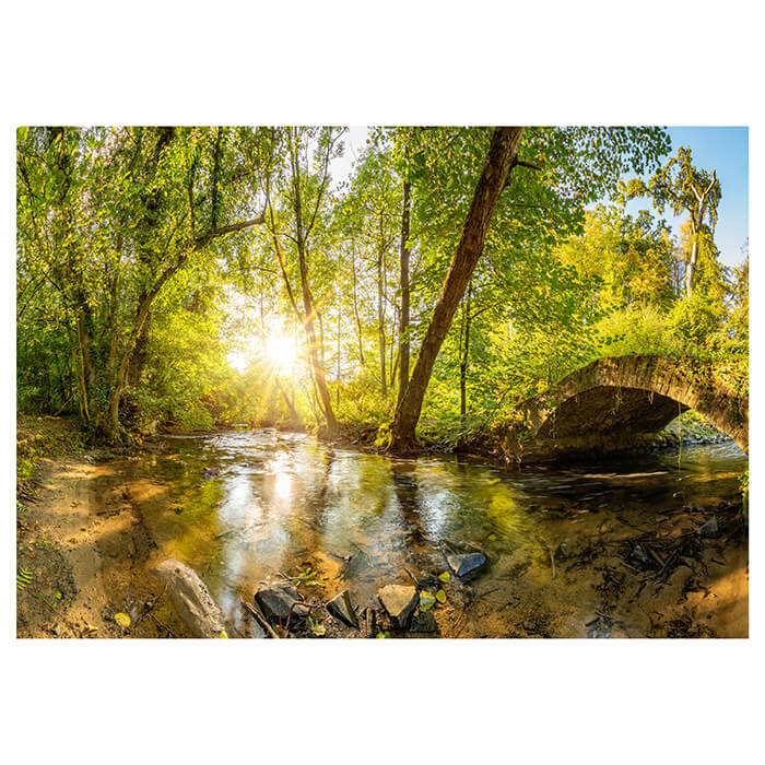 Fototapete Wald mit Brücke M5758 - Bild 2 Fototapete Wald mit Brücke M5758 - Bild 2