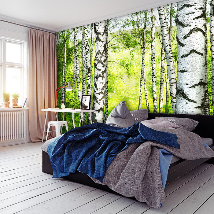 Fototapete Birkenwald Wiese Landschaft M5834 - Bild 1 Fototapete Birkenwald Wiese Landschaft M5834 - Bild 1