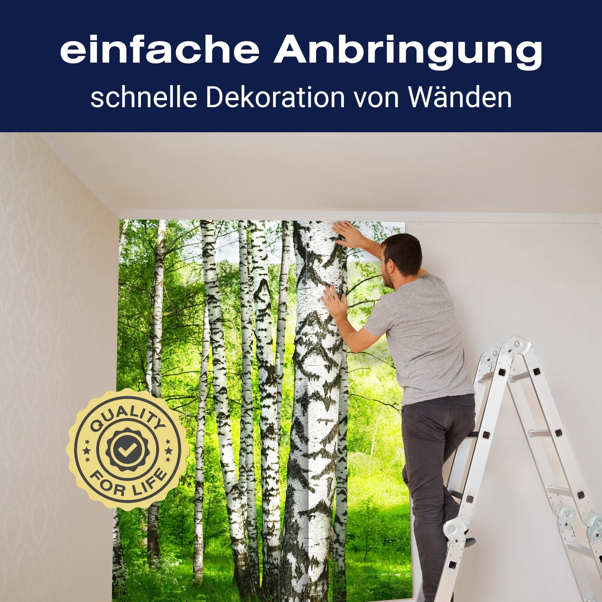 Fototapete Birkenwald Wiese Landschaft M5834 - Bild 3 Fototapete Birkenwald Wiese Landschaft M5834 - Bild 3