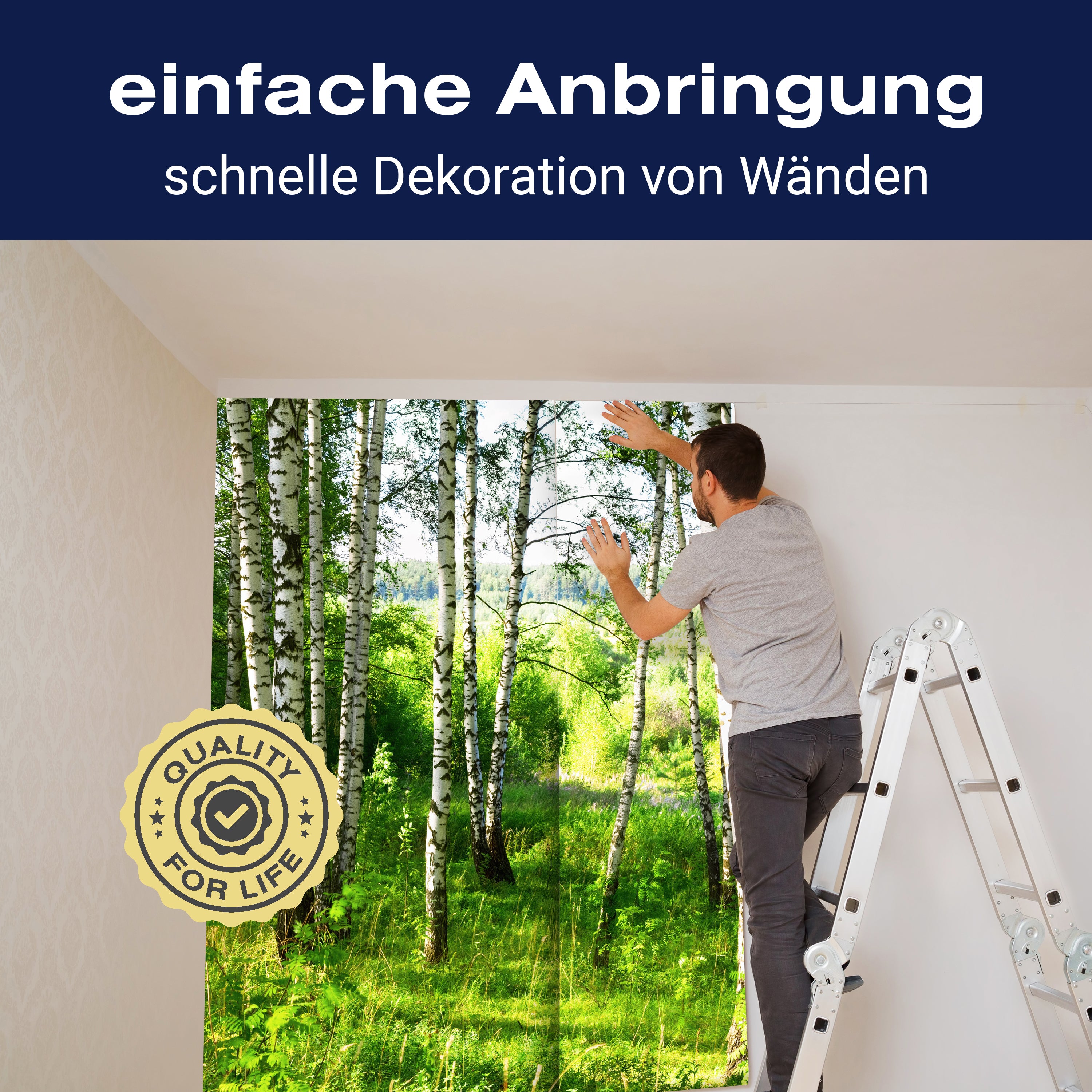 Fototapete Birkenwald Wiese Landschaft Sträuchern M5836 - Bild 3 Fototapete Birkenwald Wiese Landschaft Sträuchern M5836 - Bild 3