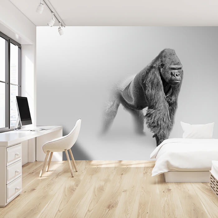Fototapete Gorilla im Nebel M5908 - Bild 1 Fototapete Gorilla im Nebel M5908 - Bild 1
