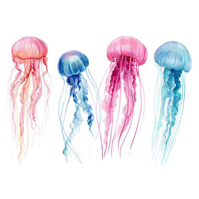 Fototapete Quallen Aquarell Bunt M5915 - Bild 2 Fototapete Quallen Aquarell Bunt M5915 - Bild 2