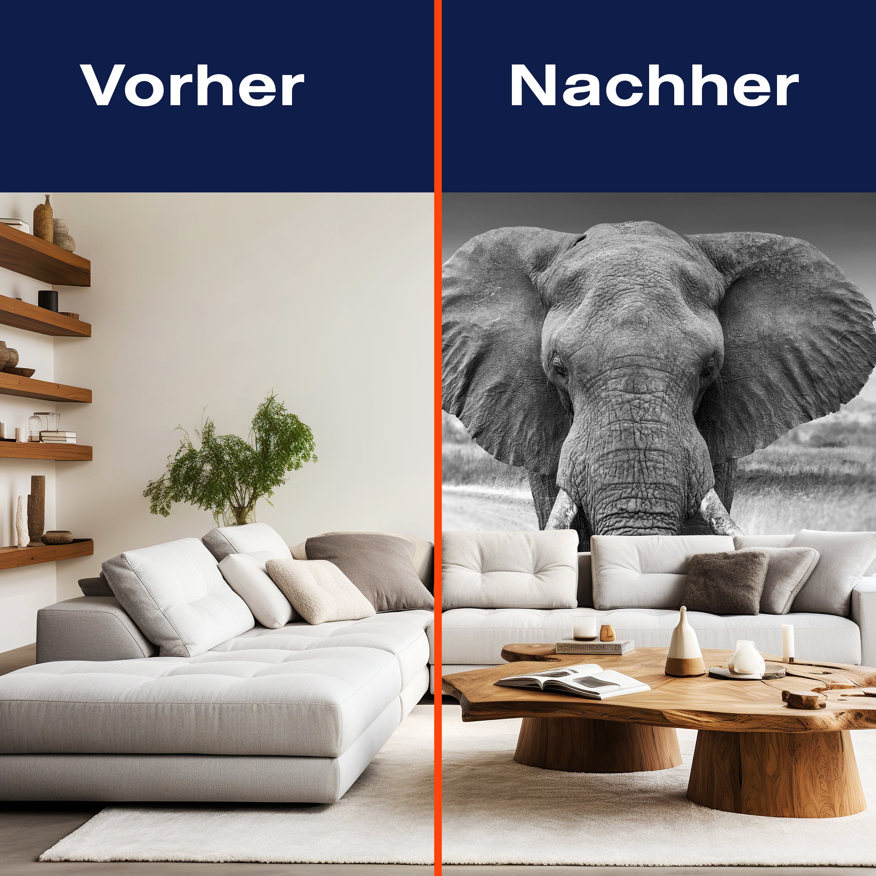 Fototapete Elefant schwarz weiß M6541 - Bild 9 Fototapete Elefant schwarz weiß M6541 - Bild 9