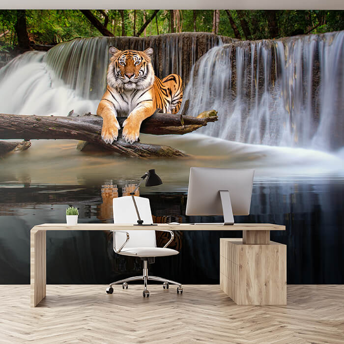 Fototapete liegender Tiger Wasserfall M6544 - Bild 1 Fototapete liegender Tiger Wasserfall M6544 - Bild 1