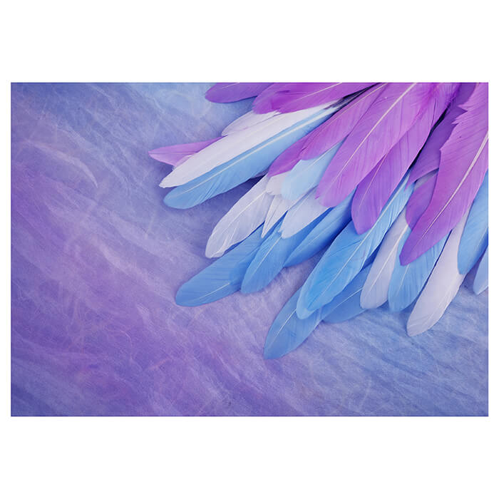 Fototapete Federn blau rosa M6635 - Bild 2 Fototapete Federn blau rosa M6635 - Bild 2
