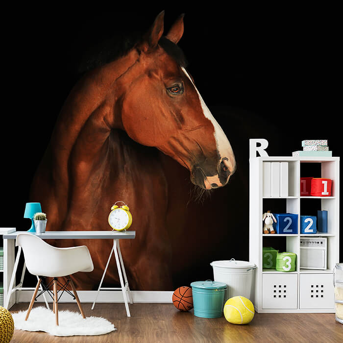 Fototapete braun weißes Pferd M6717 - Bild 1 Fototapete braun weißes Pferd M6717 - Bild 1