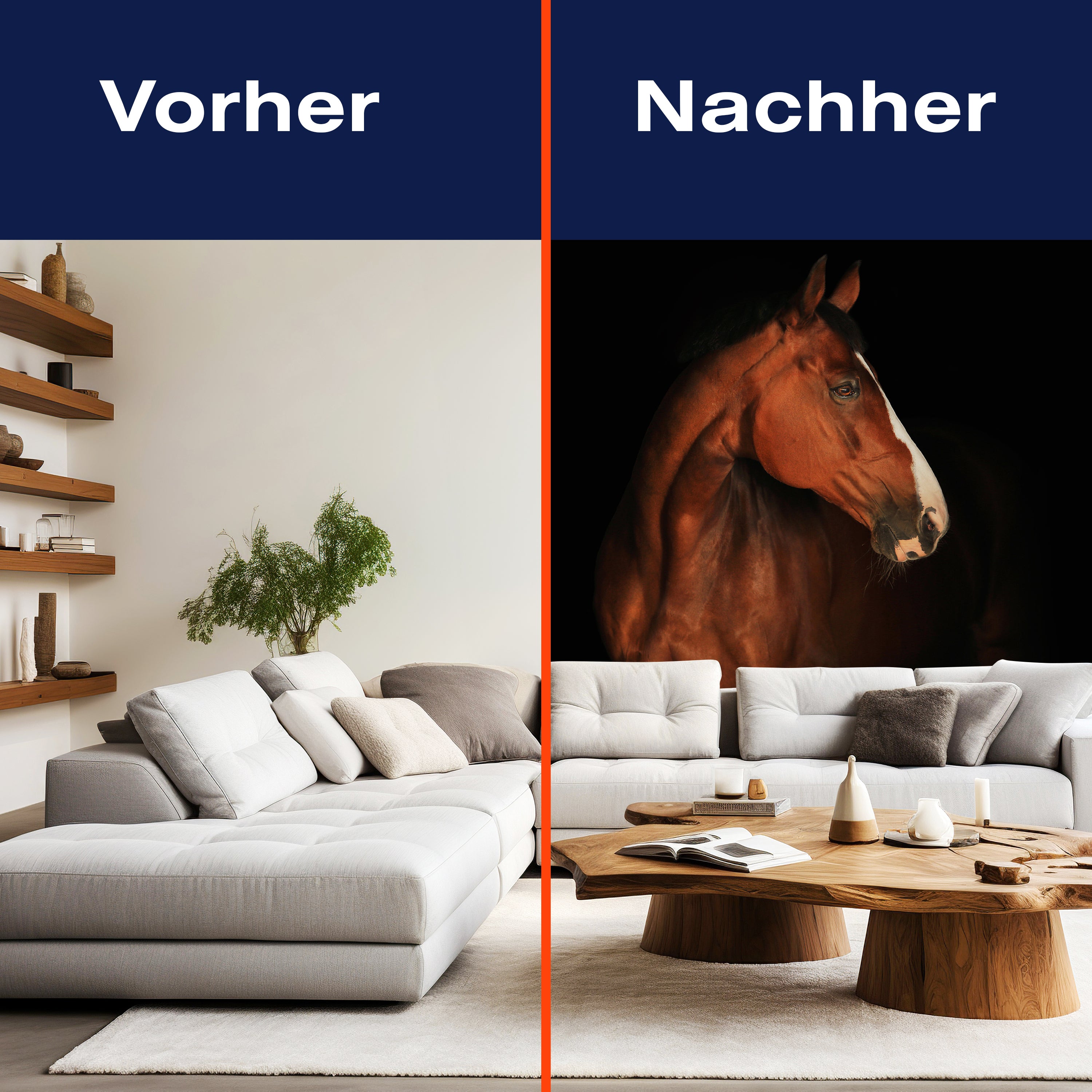 Fototapete braun weißes Pferd M6717 - Bild 9 Fototapete braun weißes Pferd M6717 - Bild 9