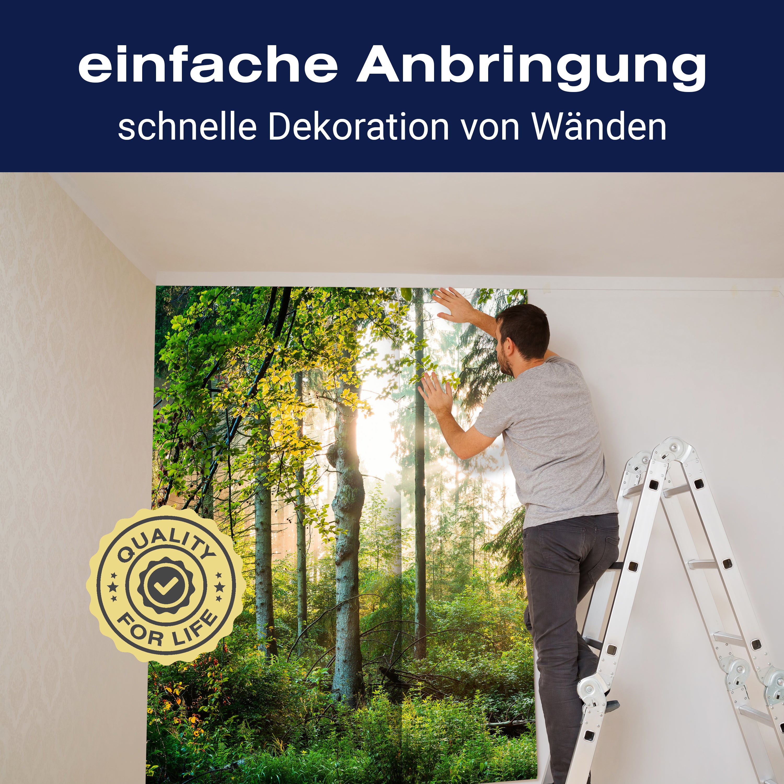 Fototapete Wald Bäume Sonne M6743 - Bild 3 Fototapete Wald Bäume Sonne M6743 - Bild 3