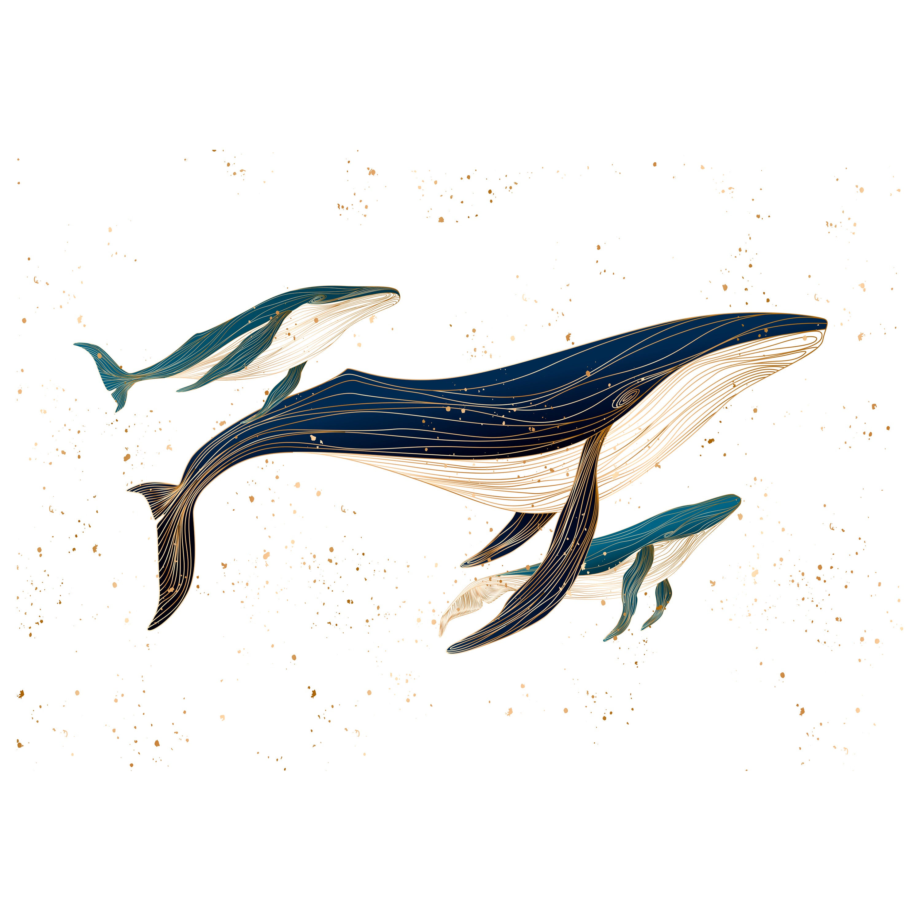 Fototapete Wal Familie M6906 - Bild 2 Fototapete Wal Familie M6906 - Bild 2