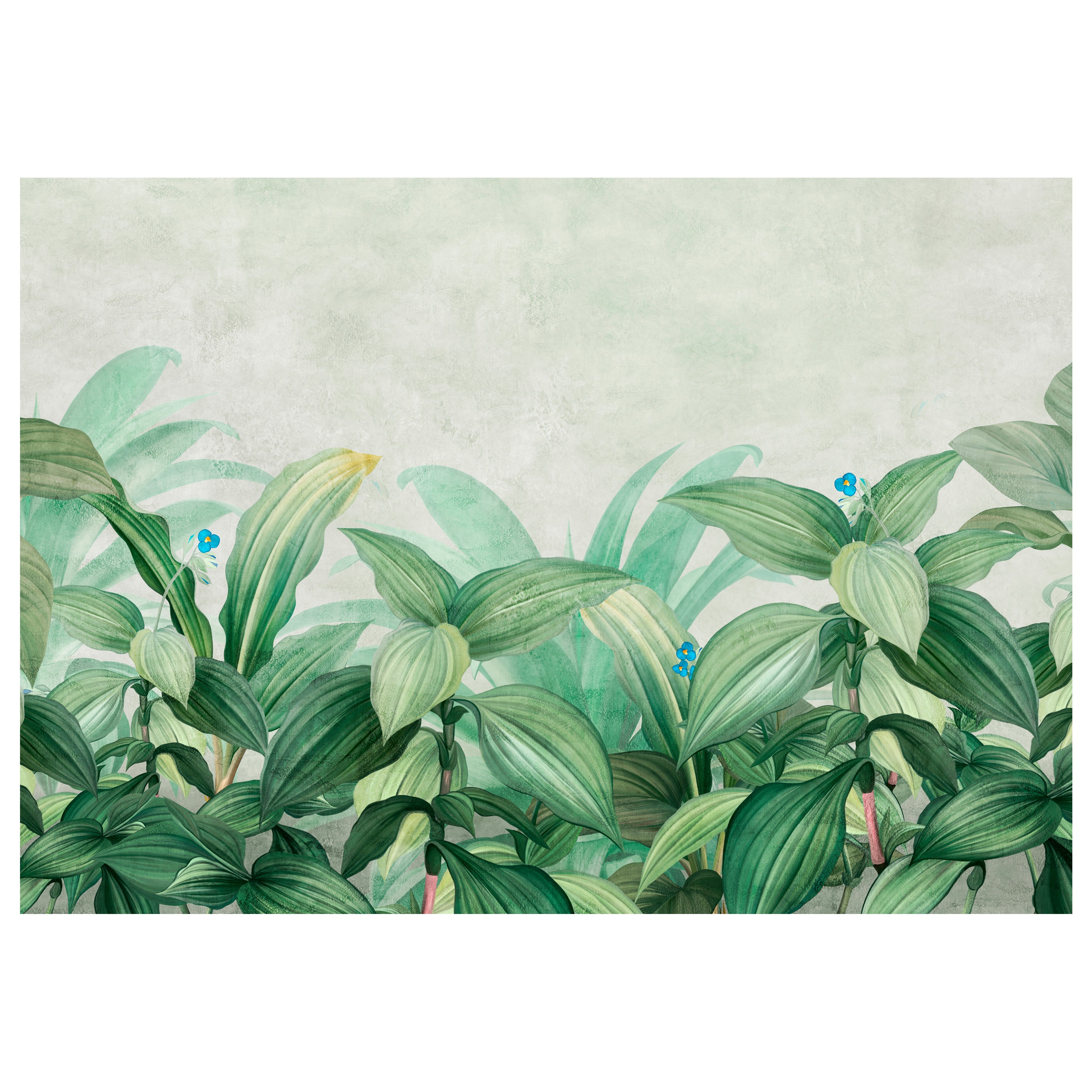 Fototapete Tropische Pflanzen M6912 - Bild 2 Fototapete Tropische Pflanzen M6912 - Bild 2