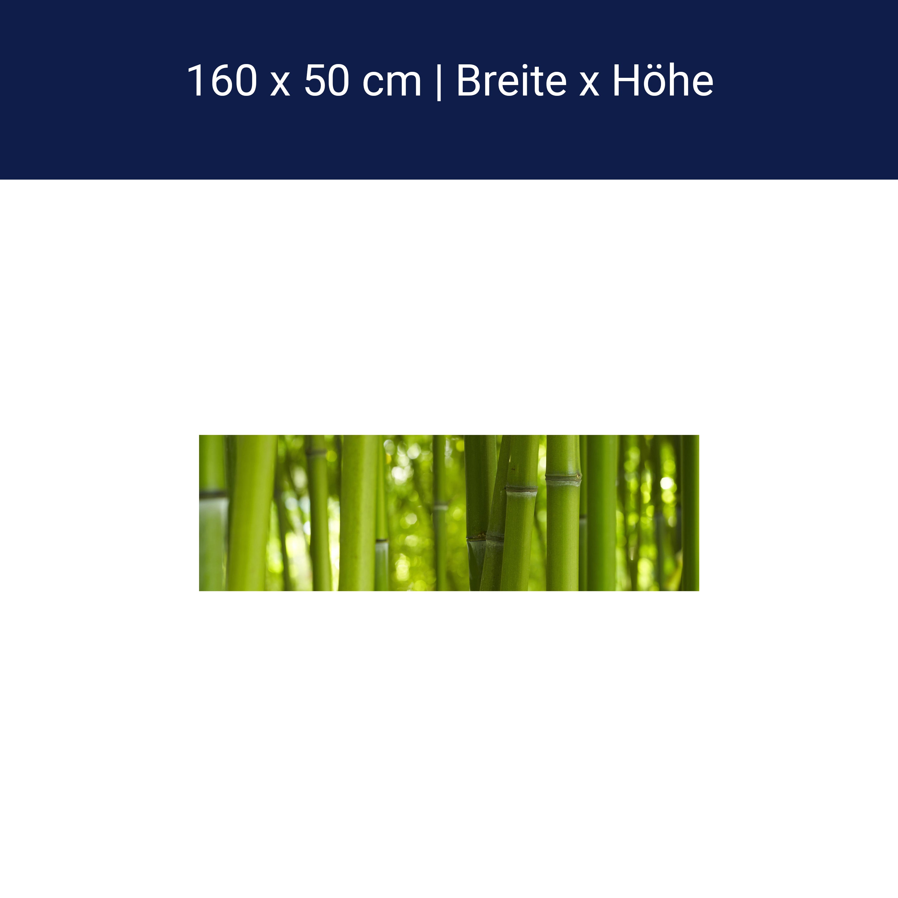 Küchenrückwand Bambus M0003 Küchenrückwand Bambus M0003