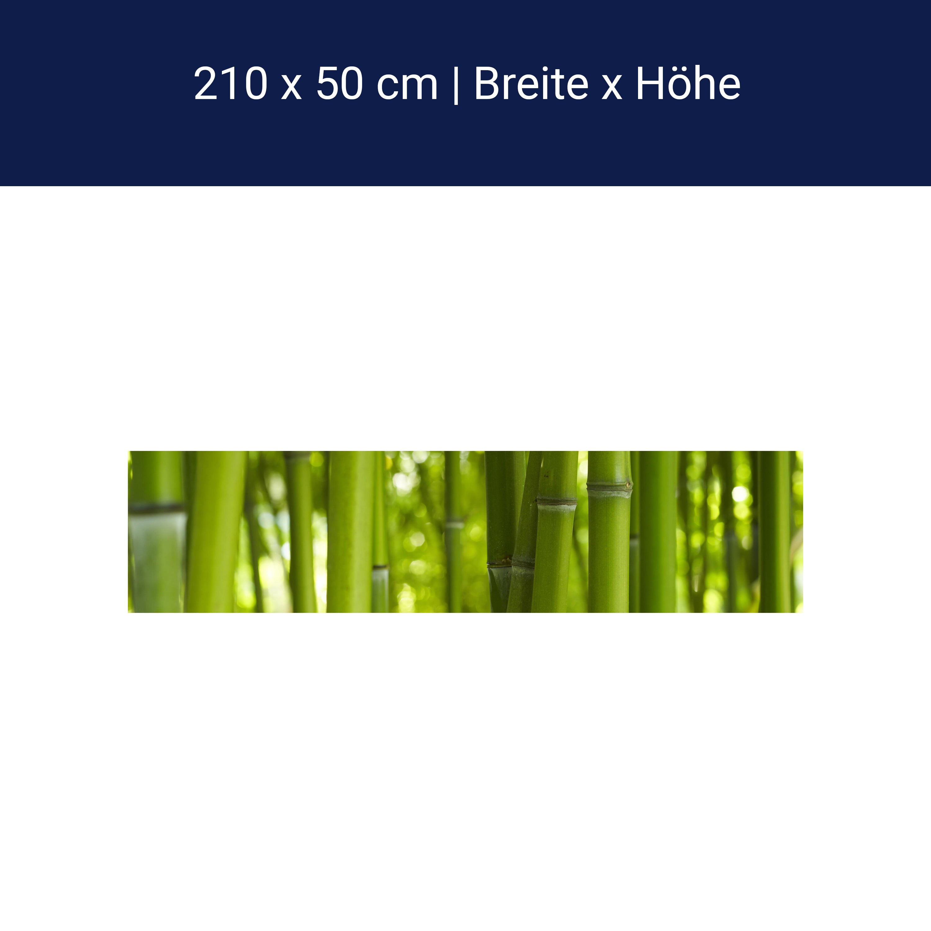 Küchenrückwand Bambus M0003 Küchenrückwand Bambus M0003