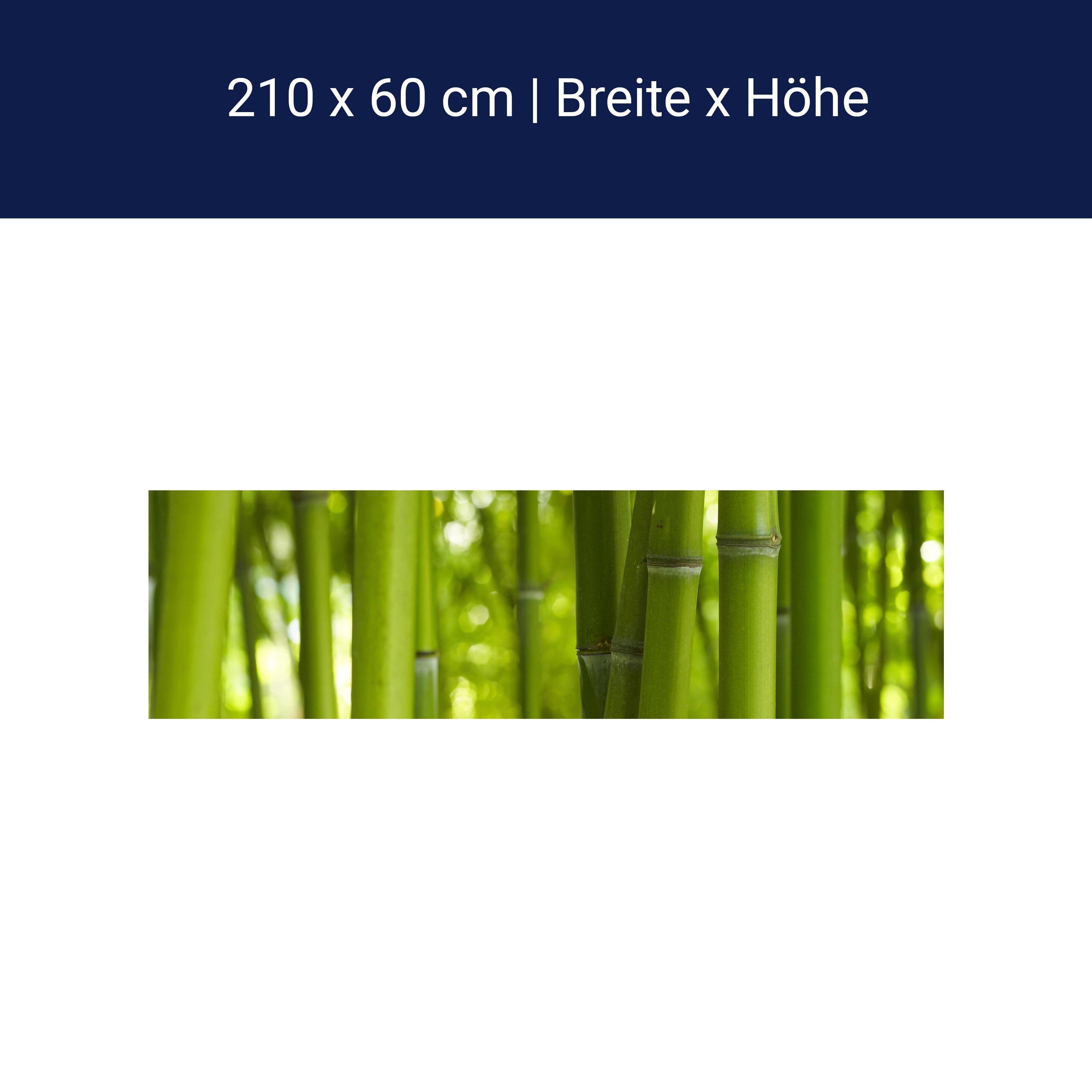 Küchenrückwand Bambus M0003 Küchenrückwand Bambus M0003