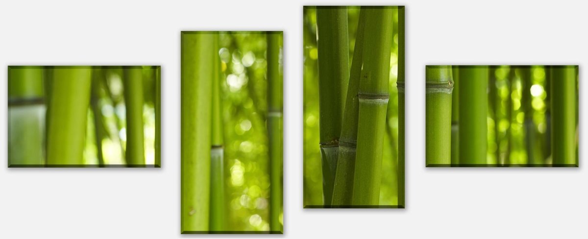 Leinwandbild Mehrteiler Bambus M0003 Leinwandbild Mehrteiler Bambus M0003