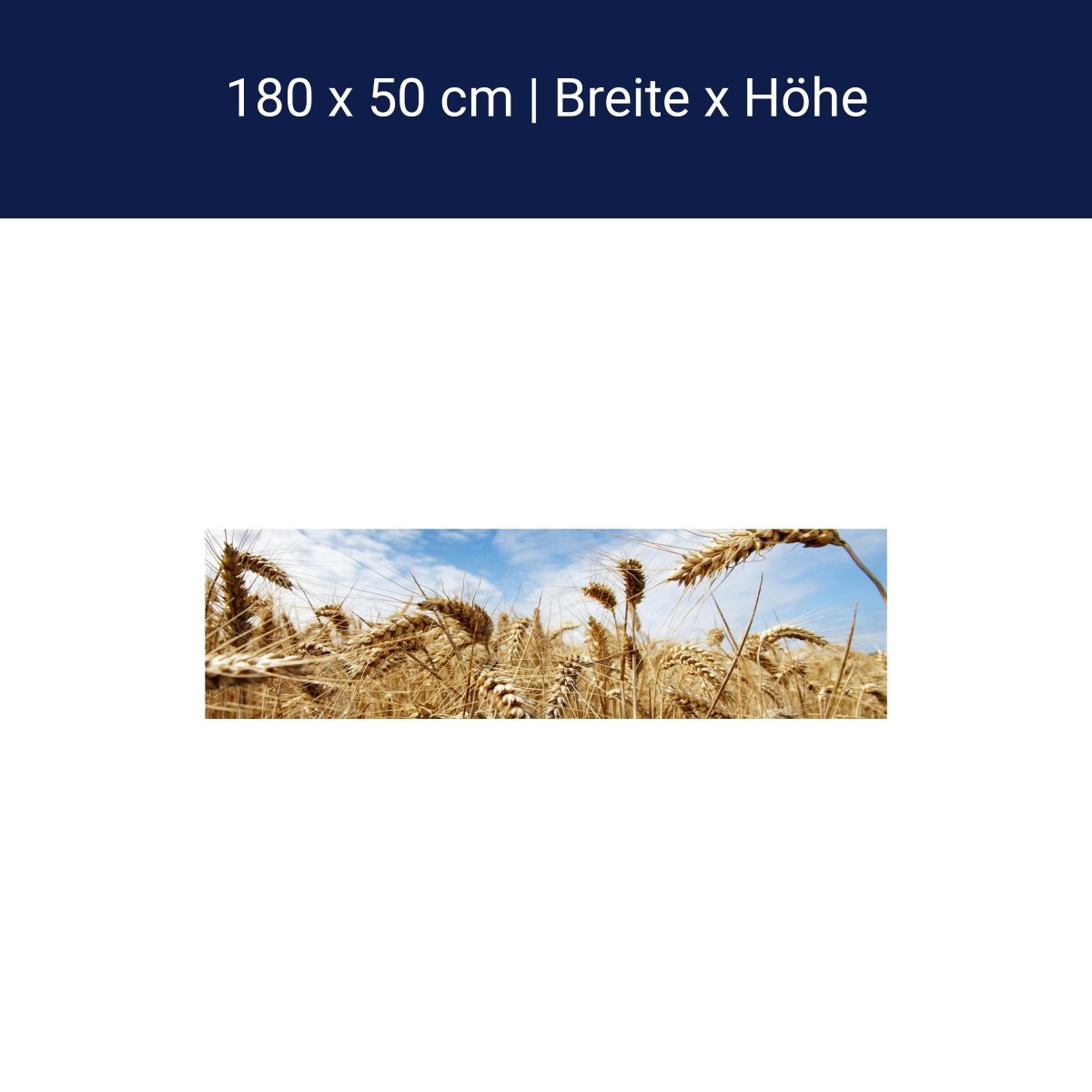 Küchenrückwand Kornfeld M0009 Küchenrückwand Kornfeld M0009